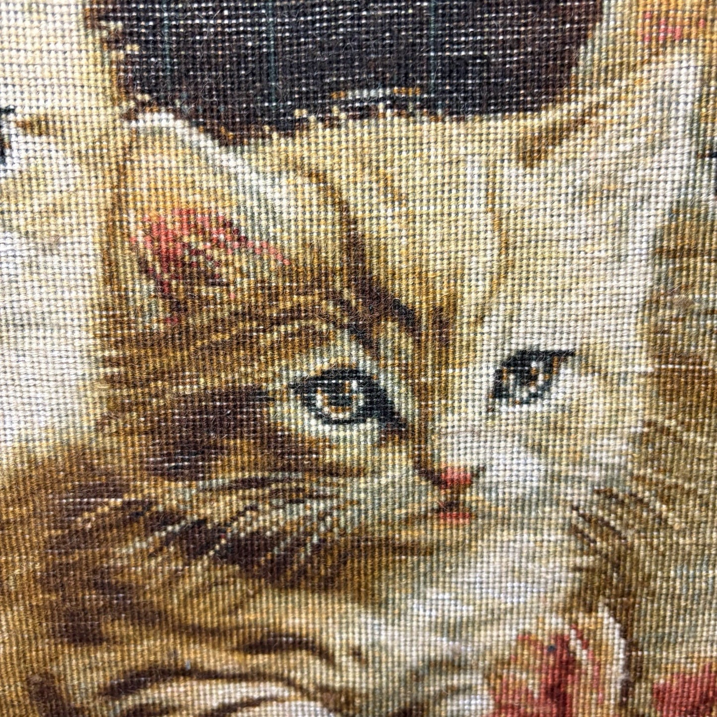 Persian Pictorial Rug Kittens Hand Knotted w/Silk Inlays 24”x16” w/Rug Hangers23