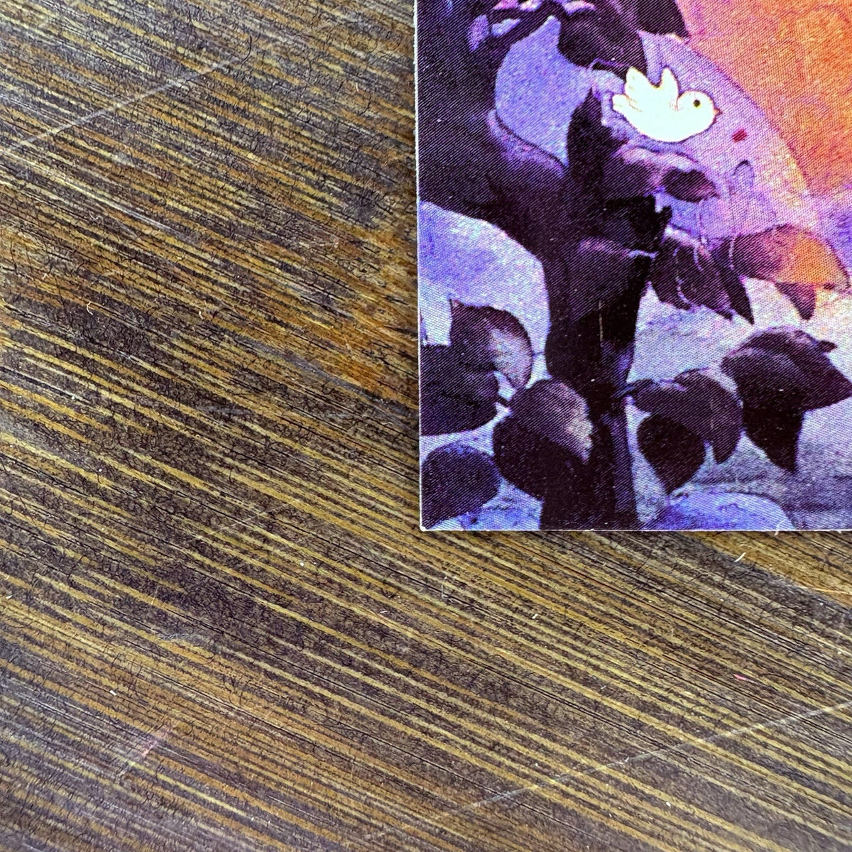 1994 SkyBox Snow White #49 "We've Got to Save Her" High Grade Trading Card