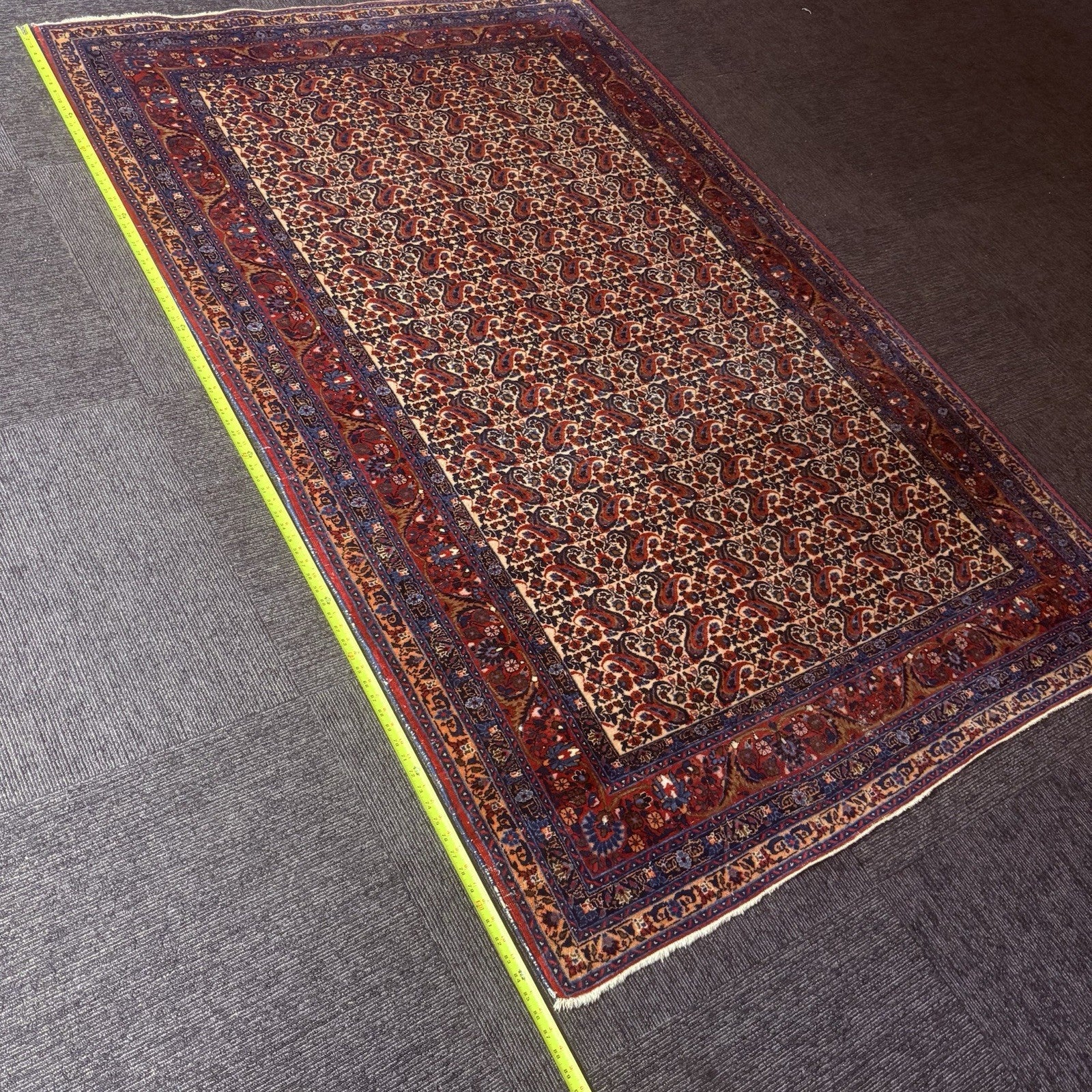 Antique 1910s Bidjar Hand Knotted Paisley Boteh Rug 5x7  342KPSI Natural Dye4