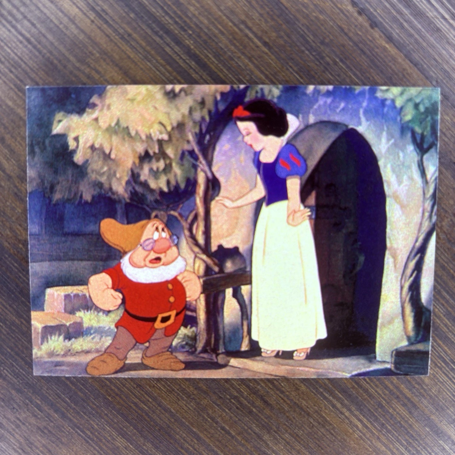 1993 Disney Snow White and the Seven Dwarfs Trading Card #45 Doc's Warning0