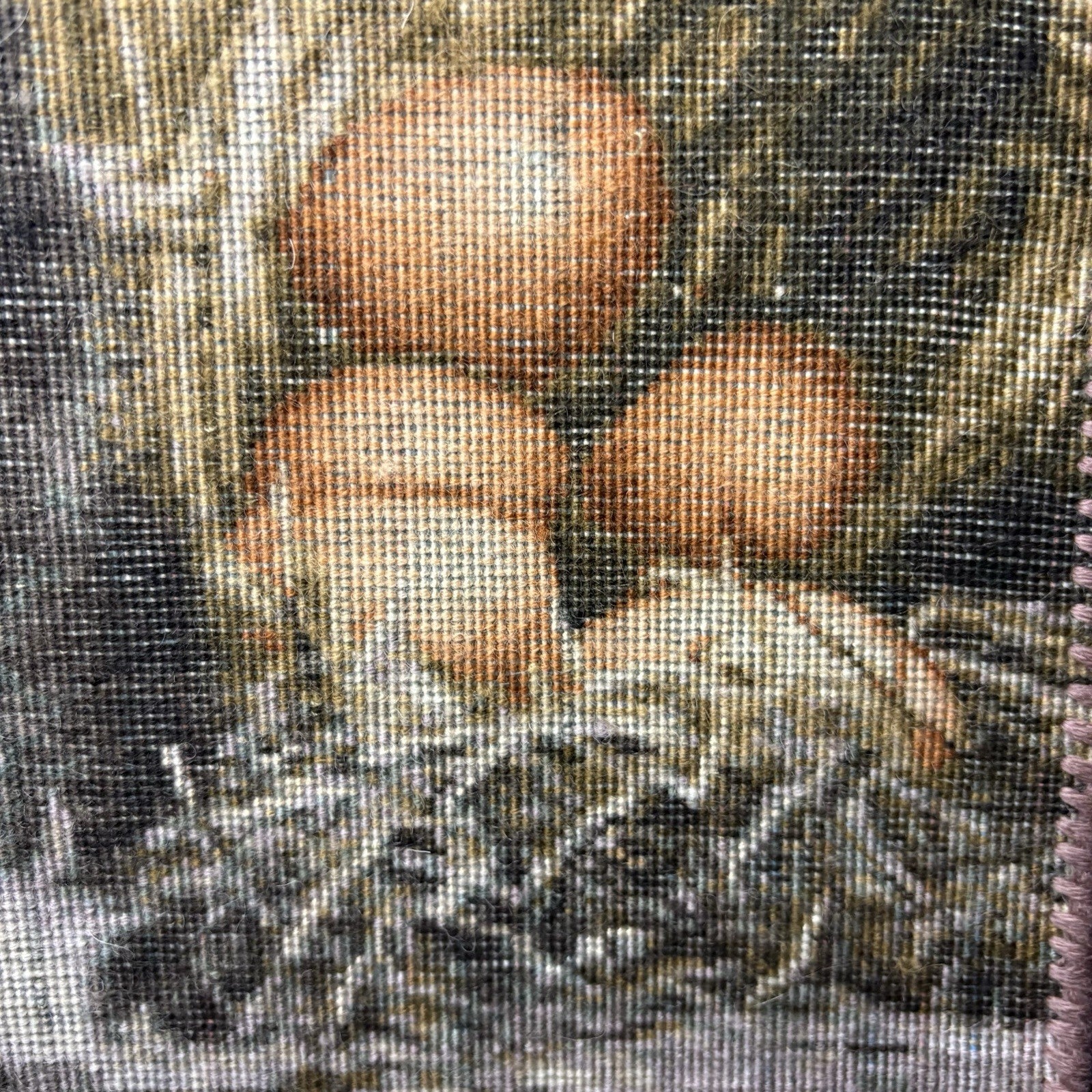 Pictorial Rug 3-D Kittens Tabrizz Hand Knotted 24”x16” w/Rug Hangers20