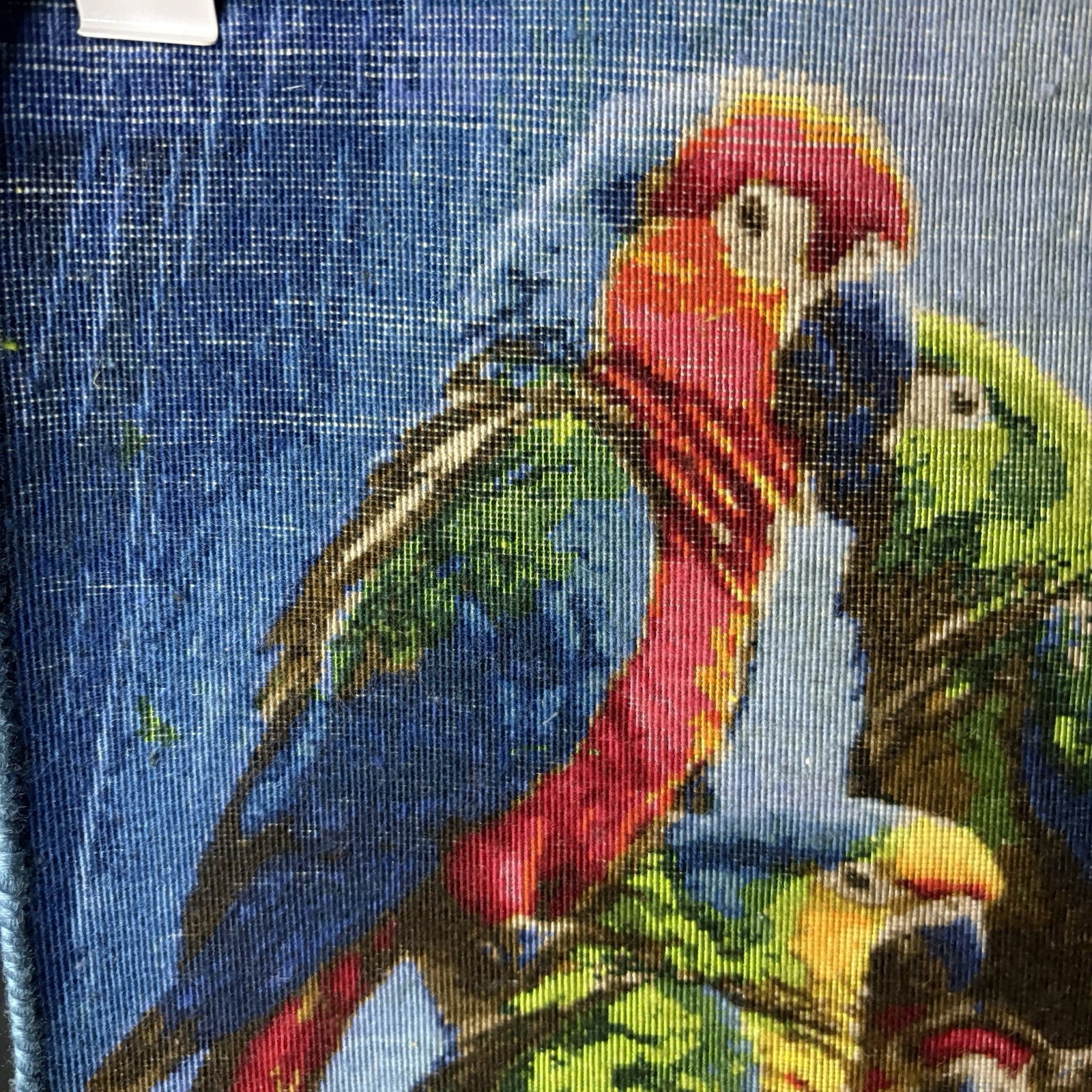 Persian Pictorial Rug Bird Hand Knotted 24”x16” 60X40cm 304KPSI w/Rug Hangers20