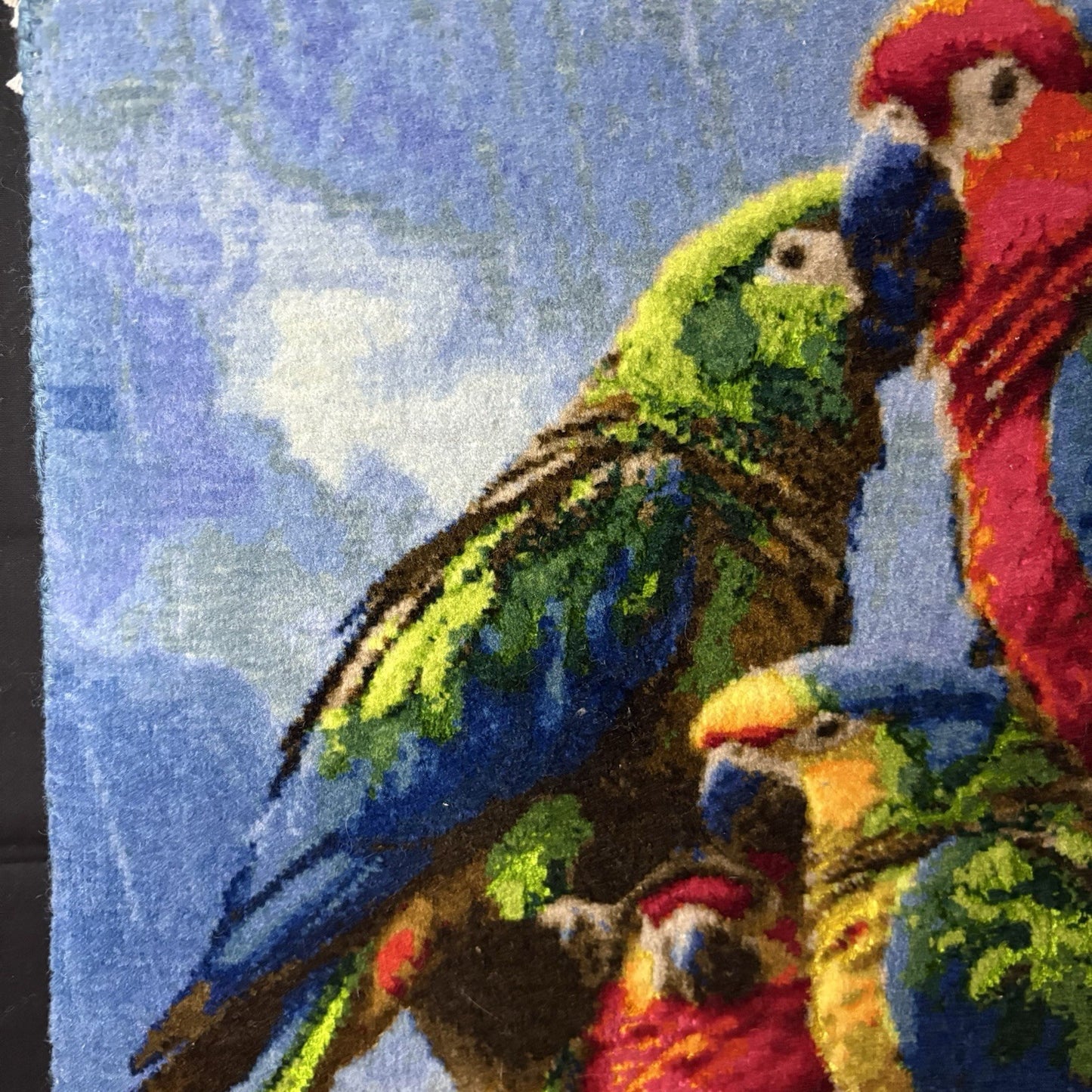 Pictorial Rug Bird Hand Knotted 24”x16” 60X40cm 304KPSI w/Rug Hangers9