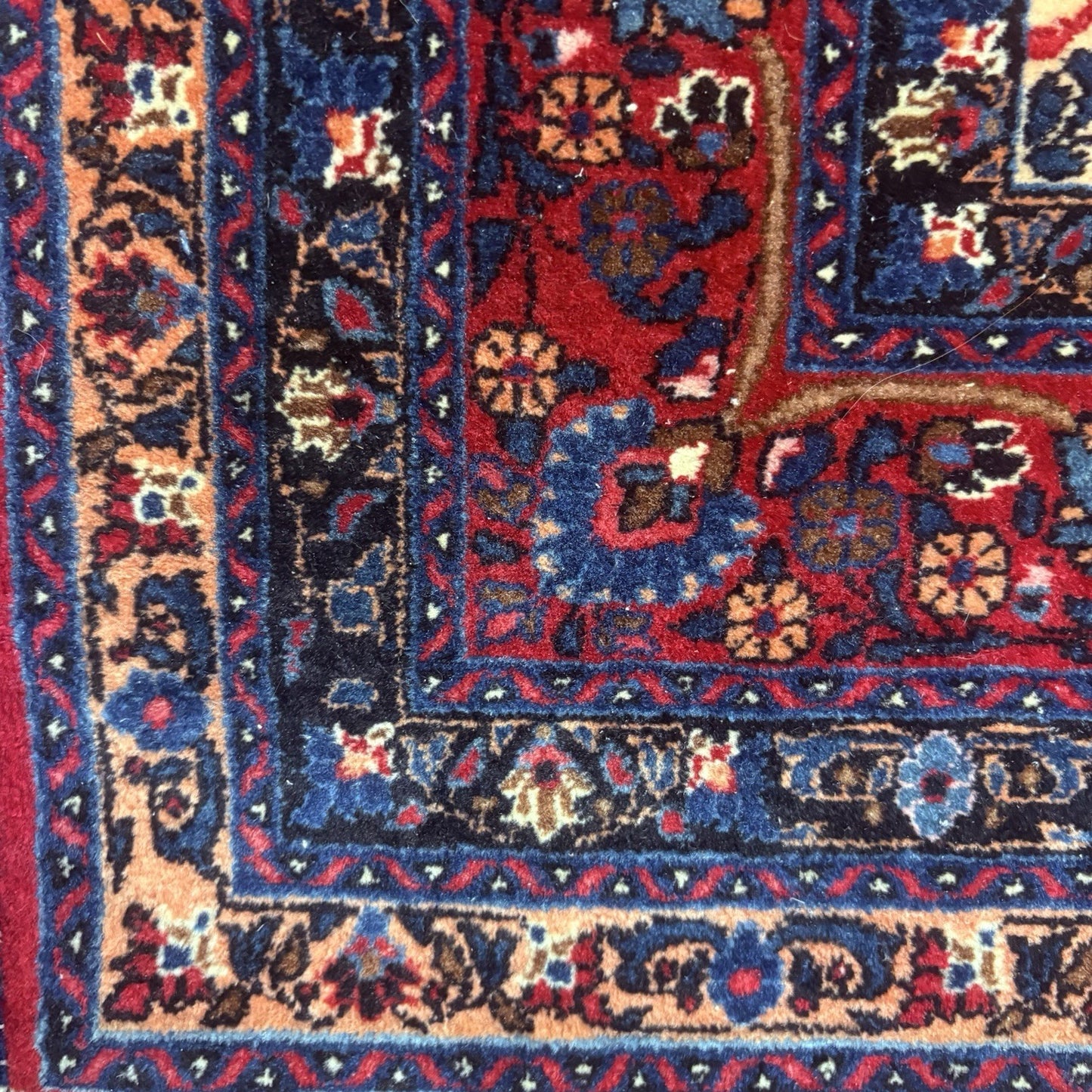 Antique 1910s Bidjar Hand Knotted Paisley Boteh Rug 5x7  342KPSI Natural Dye15