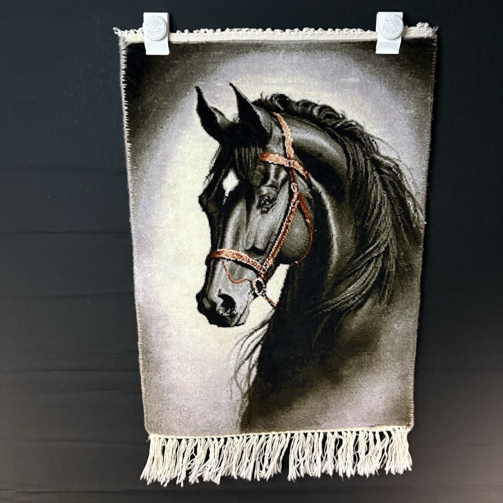 Persian Pictorial Rug Hand Knotted Horse 22”x16” 55X40cm w/Rug Hangers0