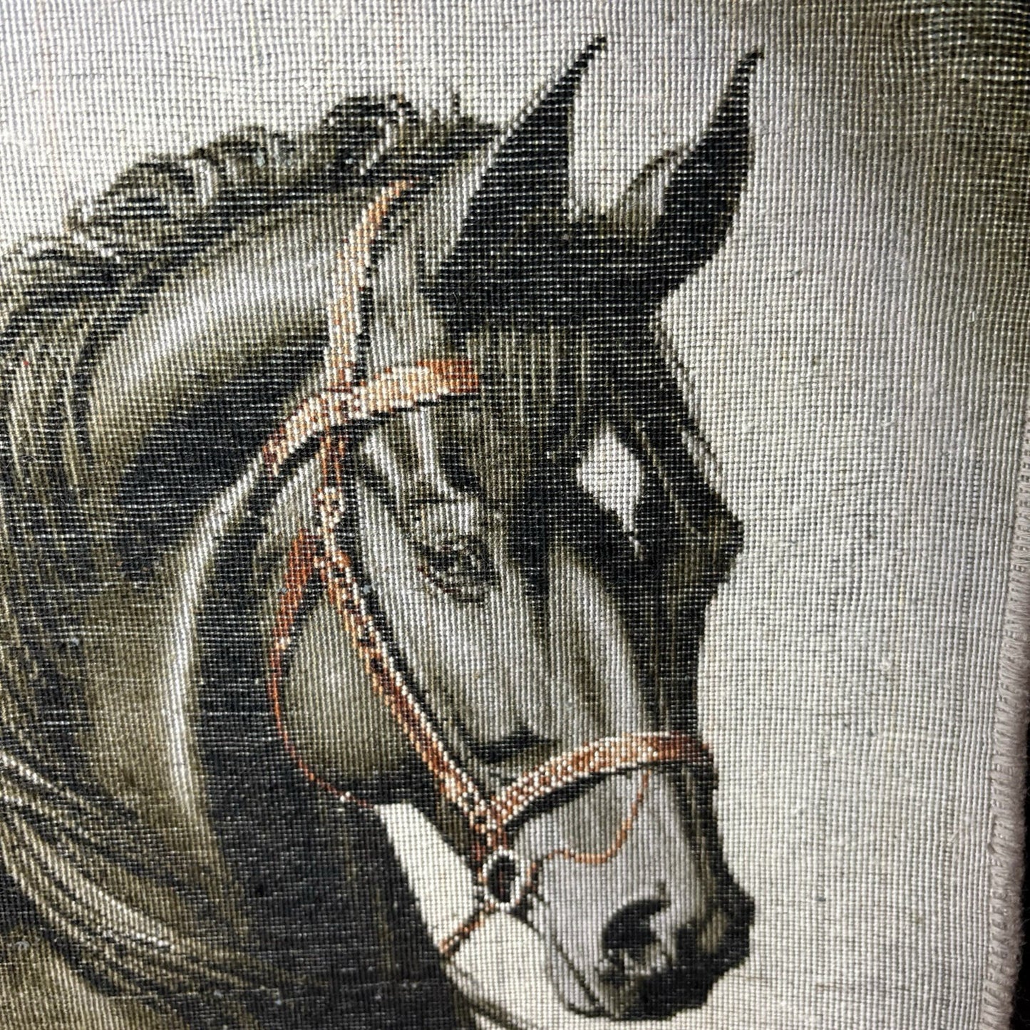 Pictorial Rug Hand Knotted Horse 22”x16” 55X40cm w/Rug Hangers21
