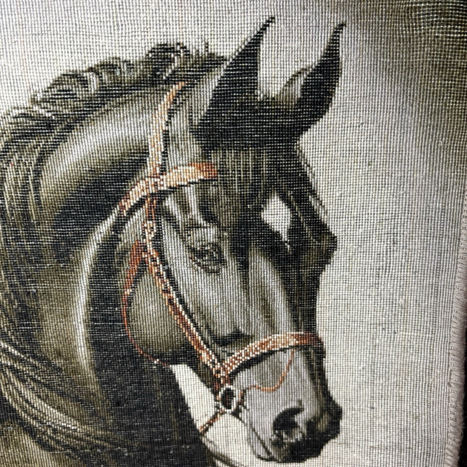 Pictorial Rug Hand Knotted Horse 22”x16” 55X40cm w/Rug Hangers21