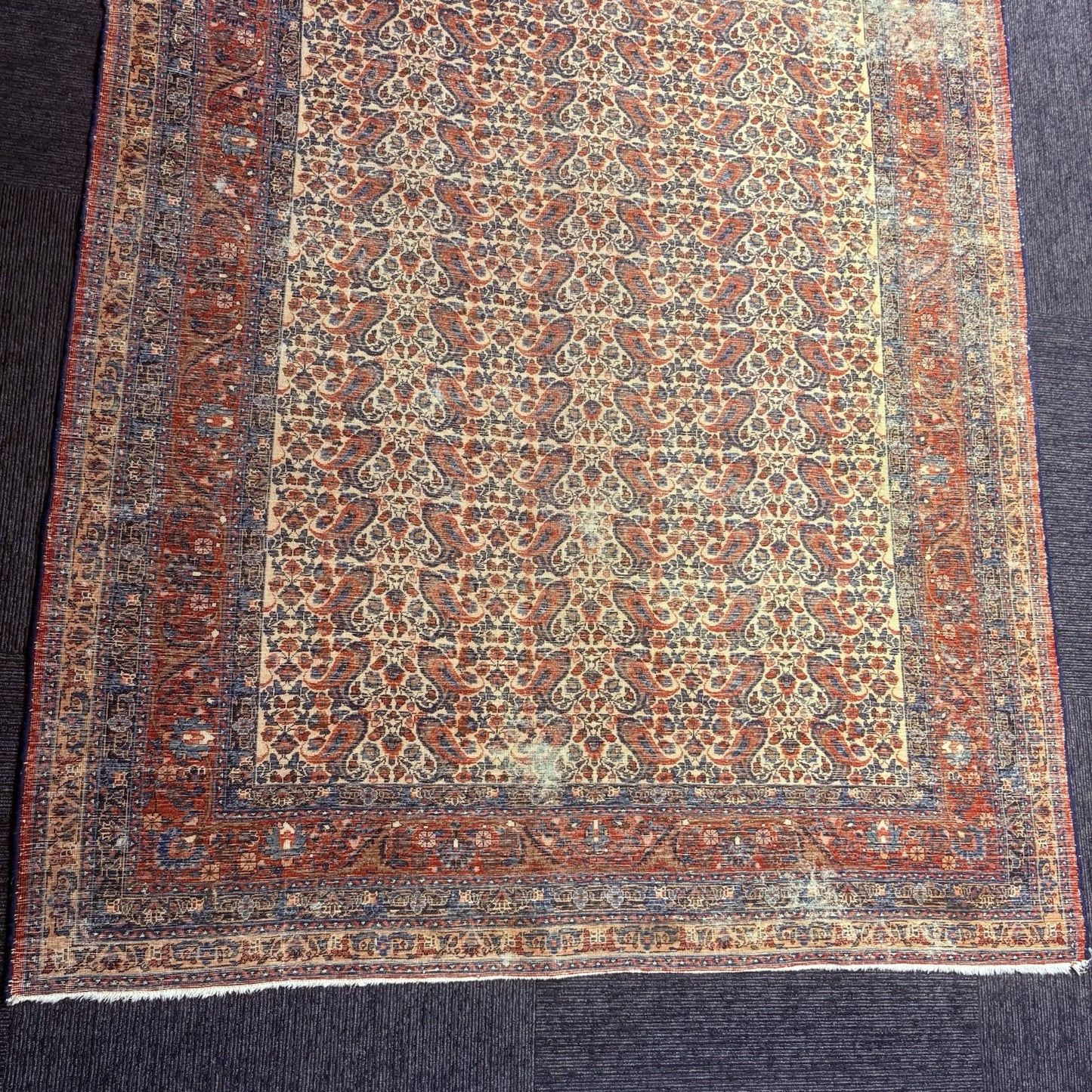 Antique 1910s Bidjar Hand Knotted Paisley Boteh Rug 5x7  342KPSI Natural Dye22