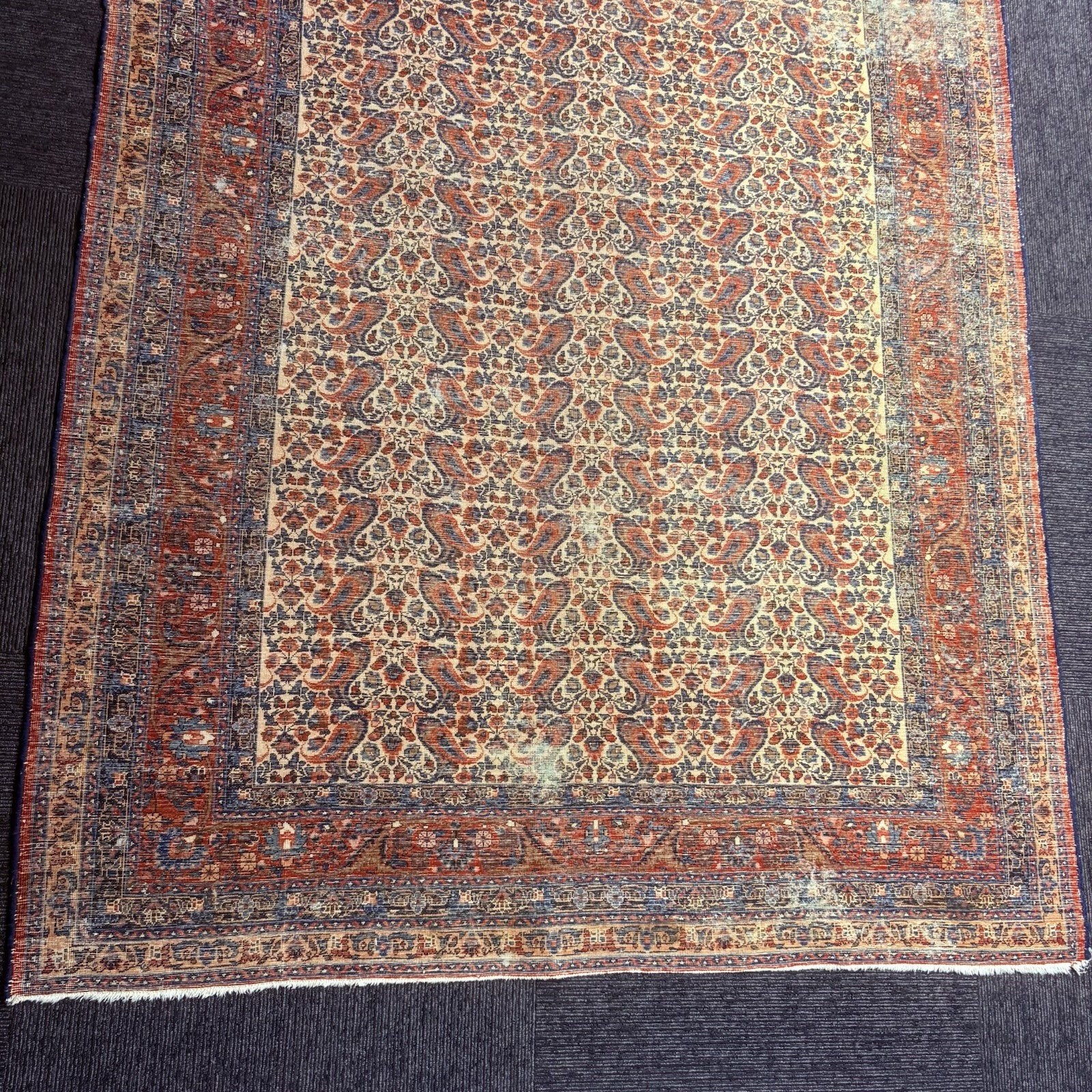 Antique 1910s Bidjar Hand Knotted Paisley Boteh Rug 5x7  342KPSI Natural Dye22