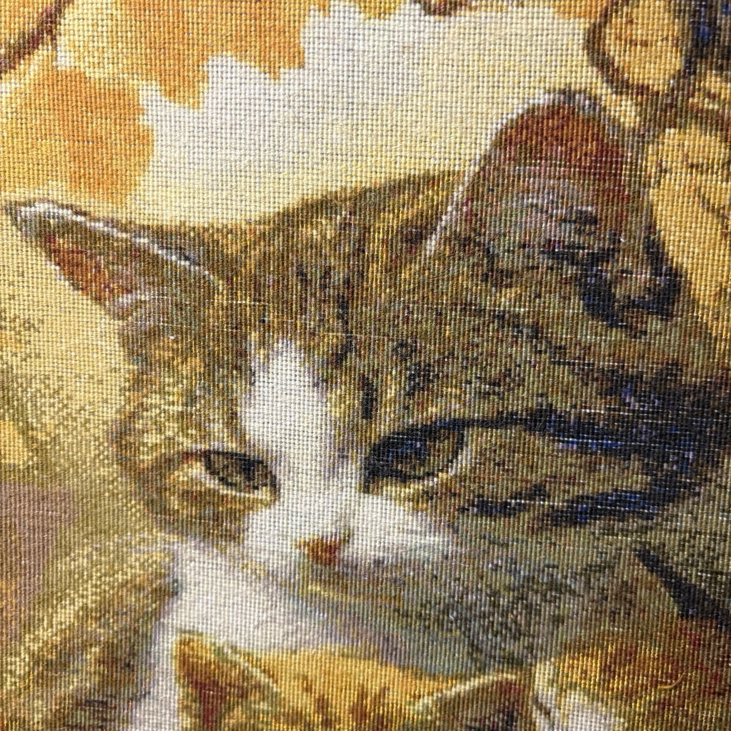 Pictorial Rug Kittens Hand Knotted w/Silk 289KPSI 25”x17” w/Rug Hangers17