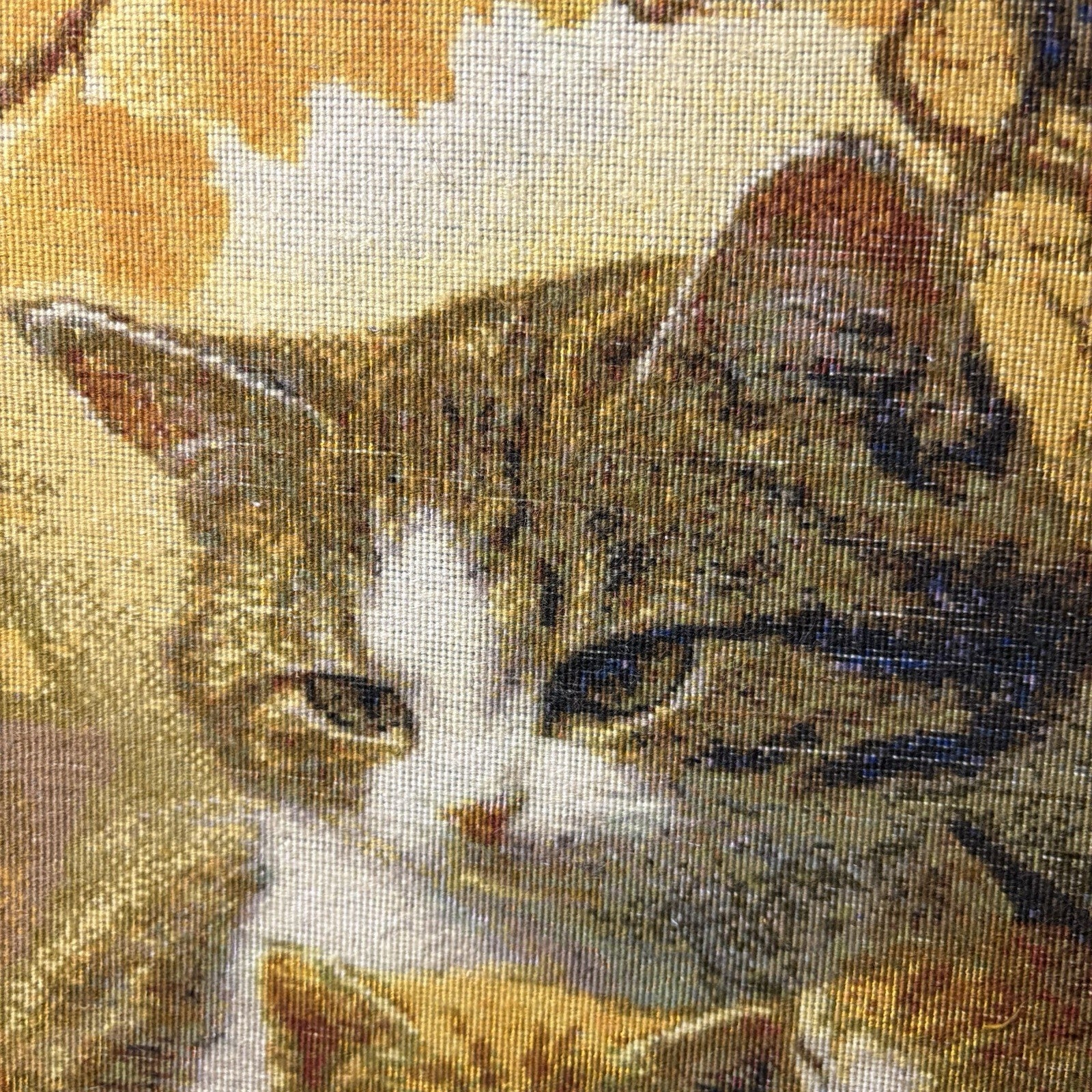 Pictorial Rug Kittens Hand Knotted w/Silk 289KPSI 25”x17” w/Rug Hangers17