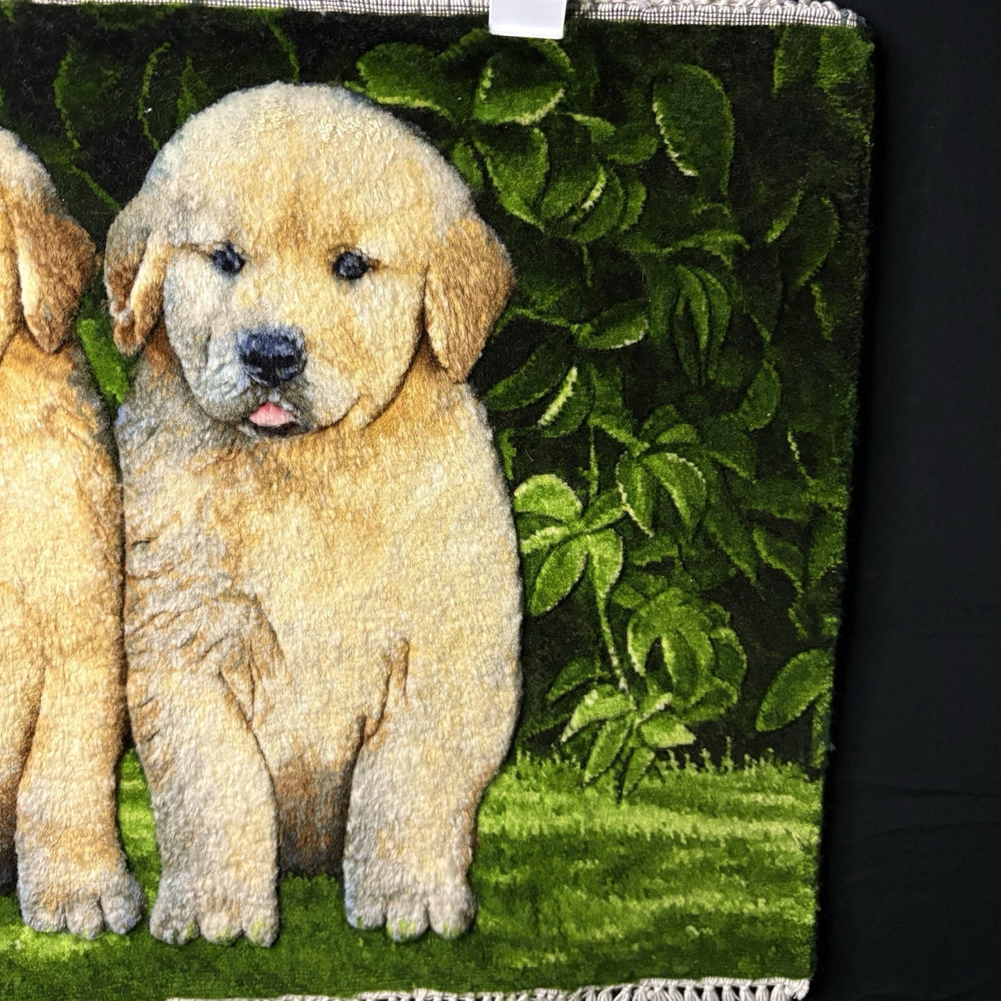 Pictorial Rug 3D Puppy Hand Knotted 24”x17” 224KPSI w/Free Rug Hangers5