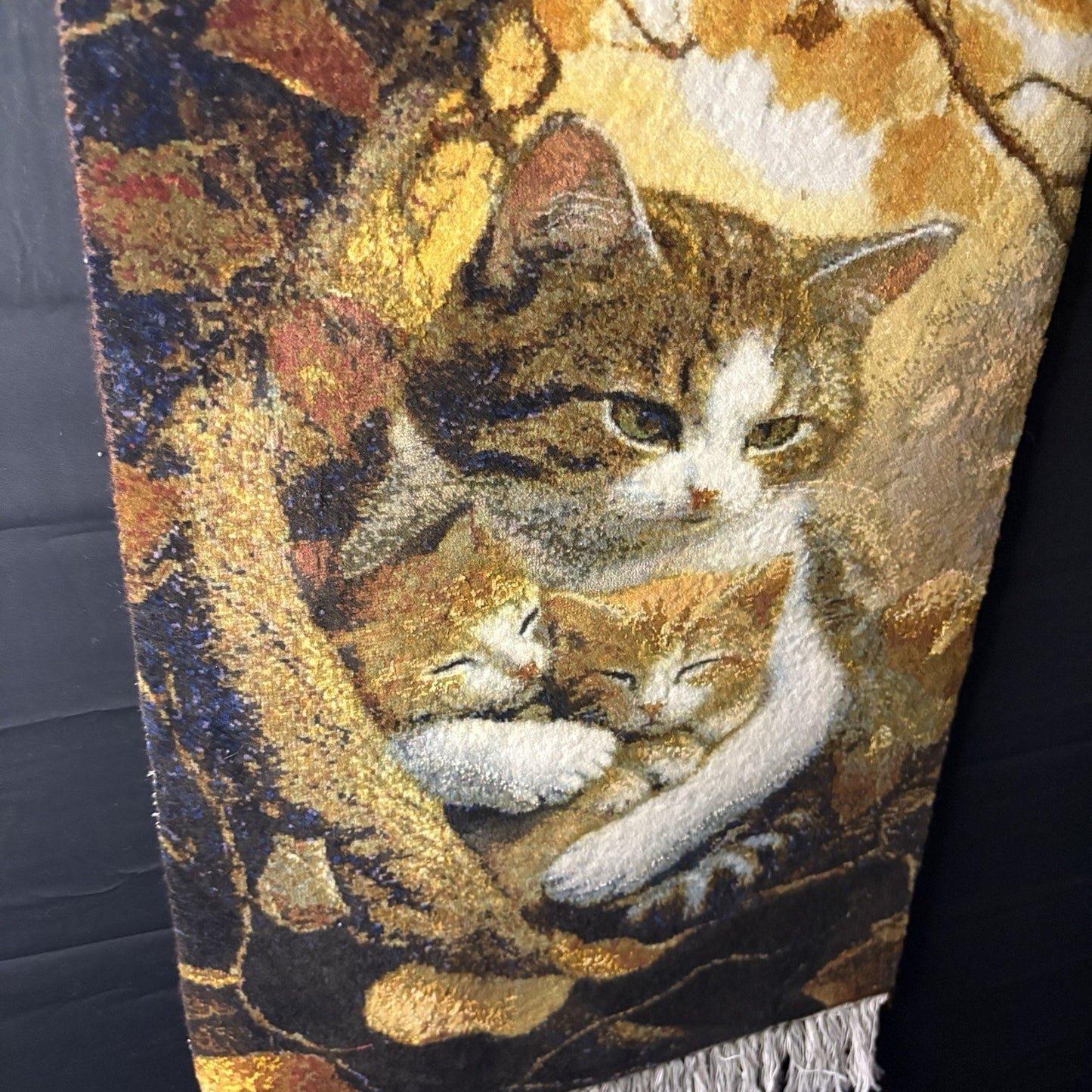 Pictorial Rug Kittens Hand Knotted w/Silk 289KPSI 25”x17” w/Rug Hangers9