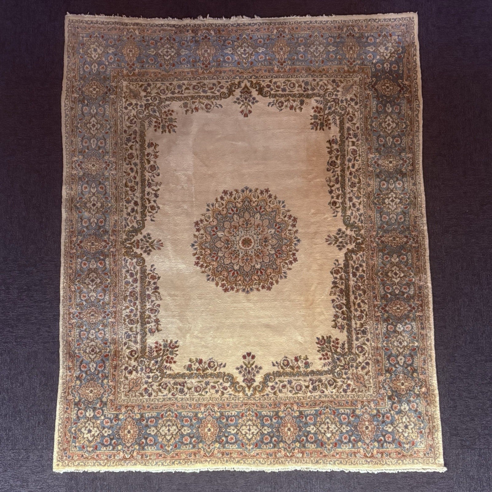 Antique Hand Knotted Rug 8'x10' Pastel Colors 289 KPSI Open Field Medallion0