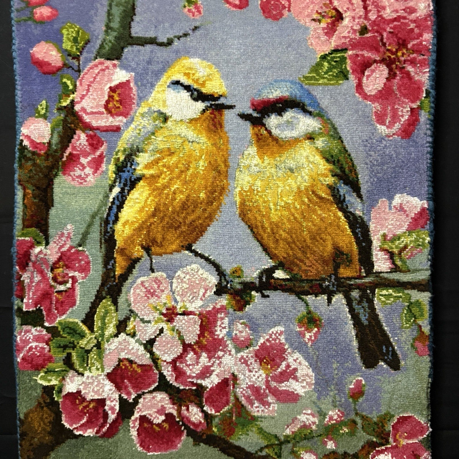 Per’sian Pictorial Rug Hand Knotted Birds & Flowers w/Silk 21”x15” w/Rug Hangers6