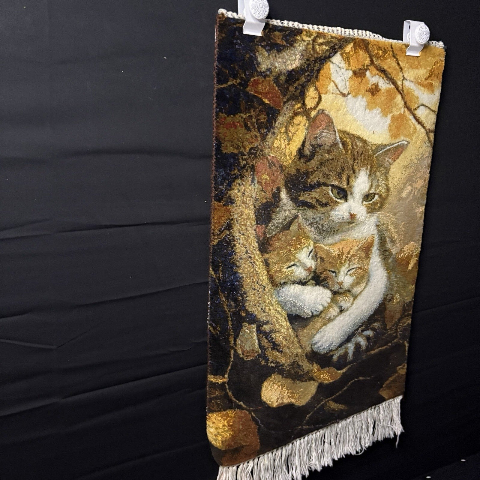 Pictorial Rug Kittens Hand Knotted w/Silk 289KPSI 25”x17” w/Rug Hangers4