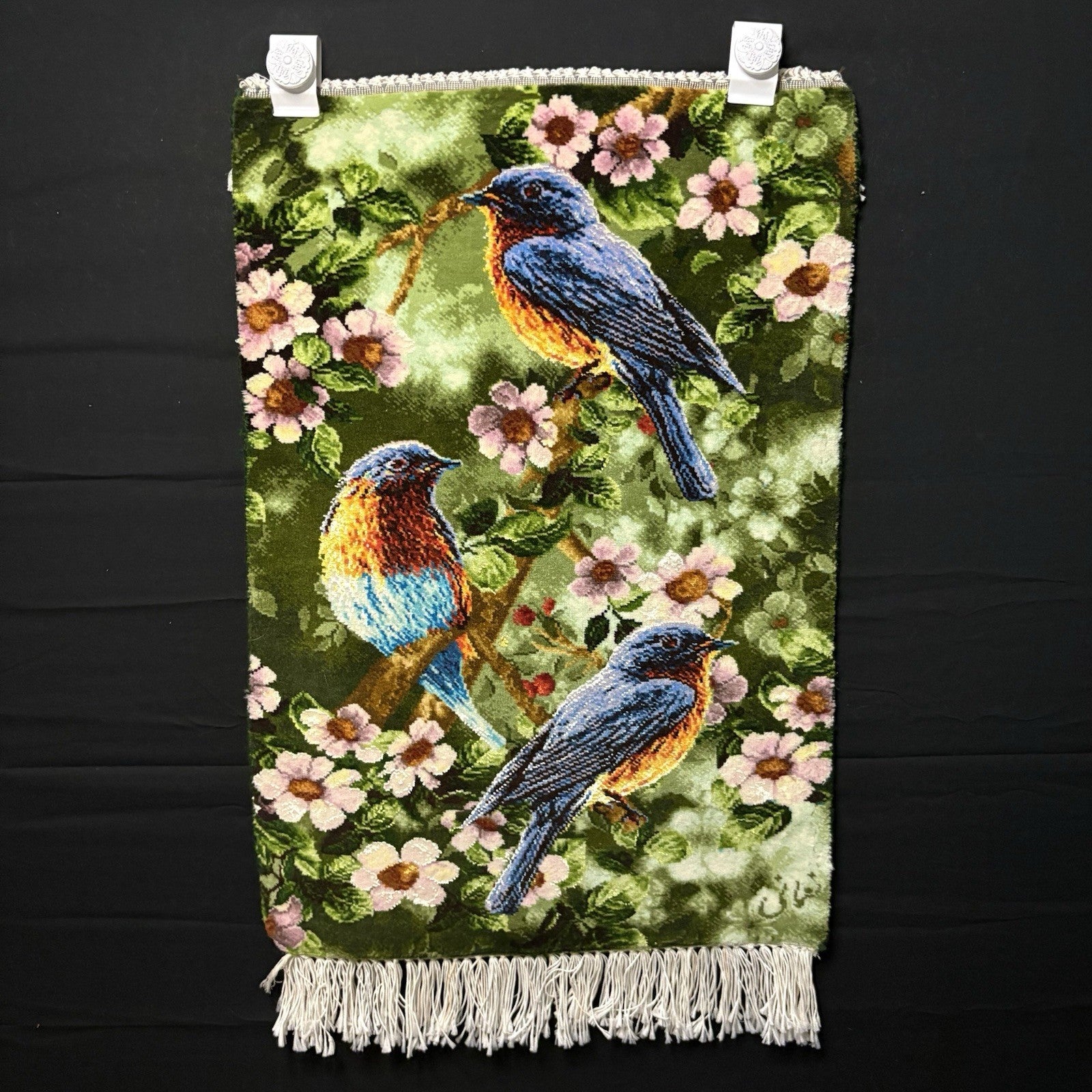 Pictorial Rug Hand Knotted Birds 24”x16” 60X40cm 224KPSI w/Rug Hangers0