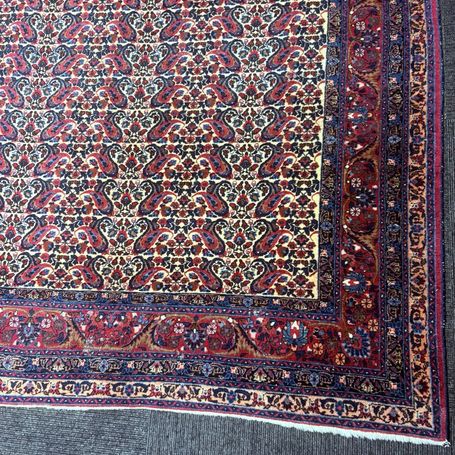 Antique 1910s Bidjar Hand Knotted Paisley Boteh Rug 5x7  342KPSI Natural Dye8