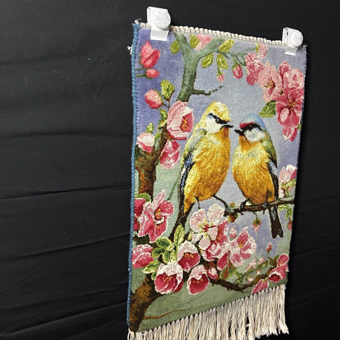 Per’sian Pictorial Rug Hand Knotted Birds & Flowers w/Silk 21”x15” w/Rug Hangers3