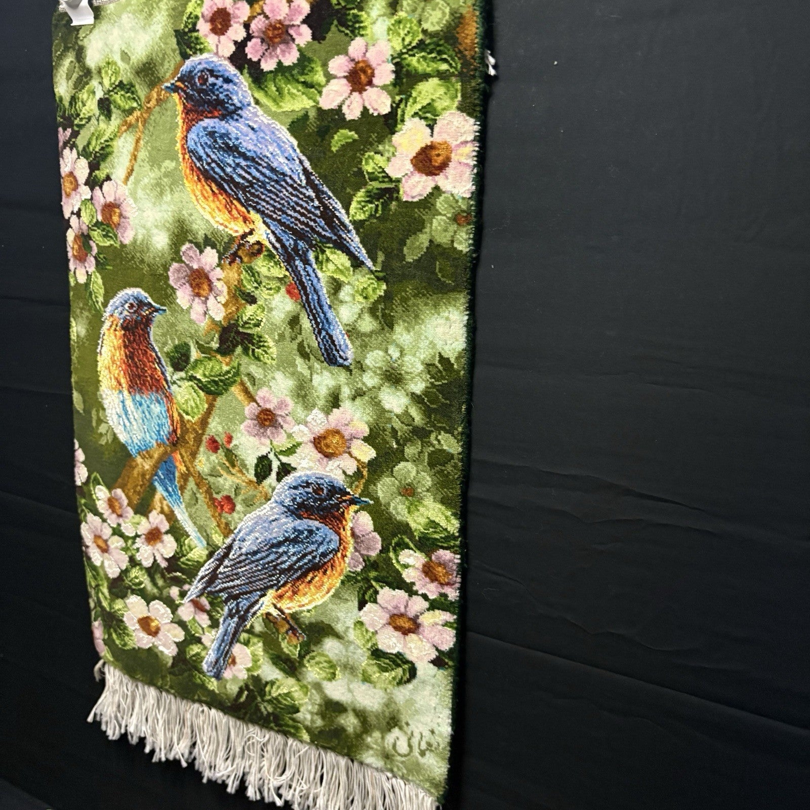 Pictorial Rug Hand Knotted Birds 24”x16” 60X40cm 224KPSI w/Rug Hangers3
