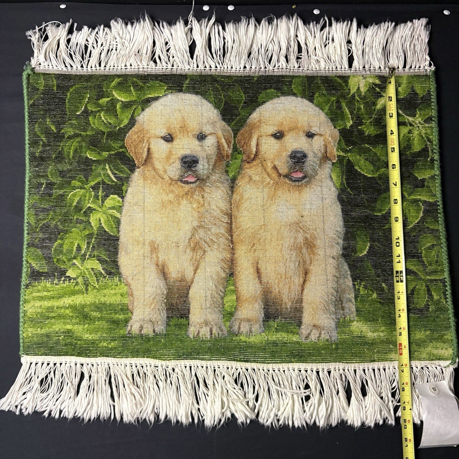 Pictorial Rug 3D Puppy Hand Knotted 24”x17” 224KPSI w/Free Rug Hangers15