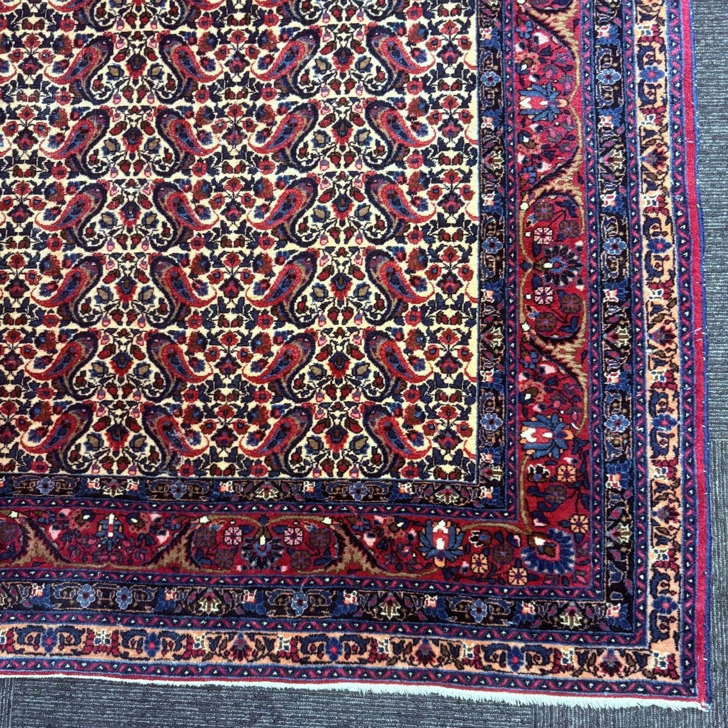 Antique 1910s Bidjar Hand Knotted Paisley Boteh Rug 5x7  342KPSI Natural Dye6