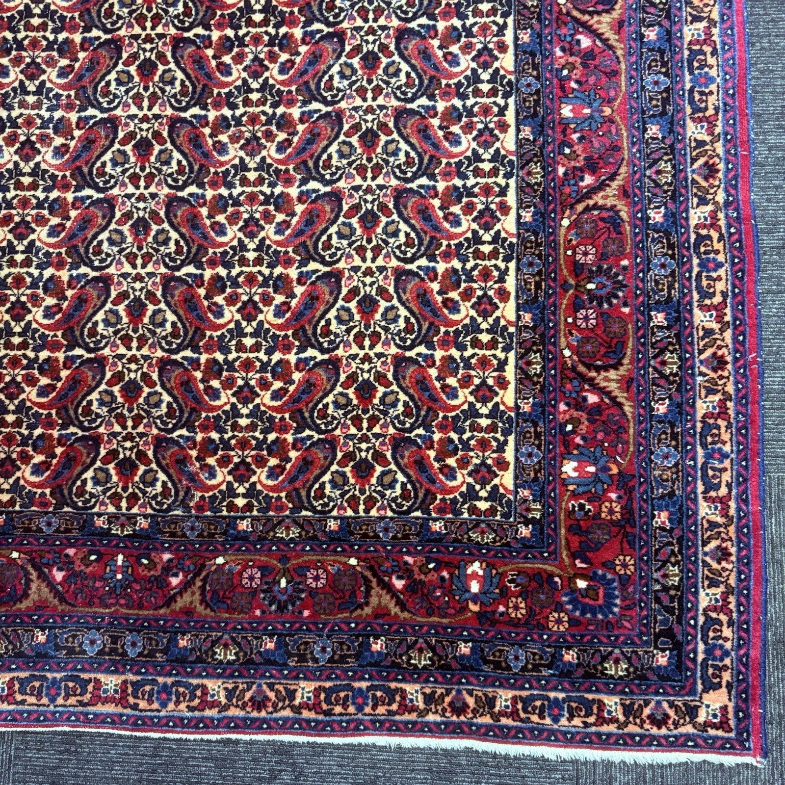 Antique 1910s Bidjar Hand Knotted Paisley Boteh Rug 5x7  342KPSI Natural Dye6