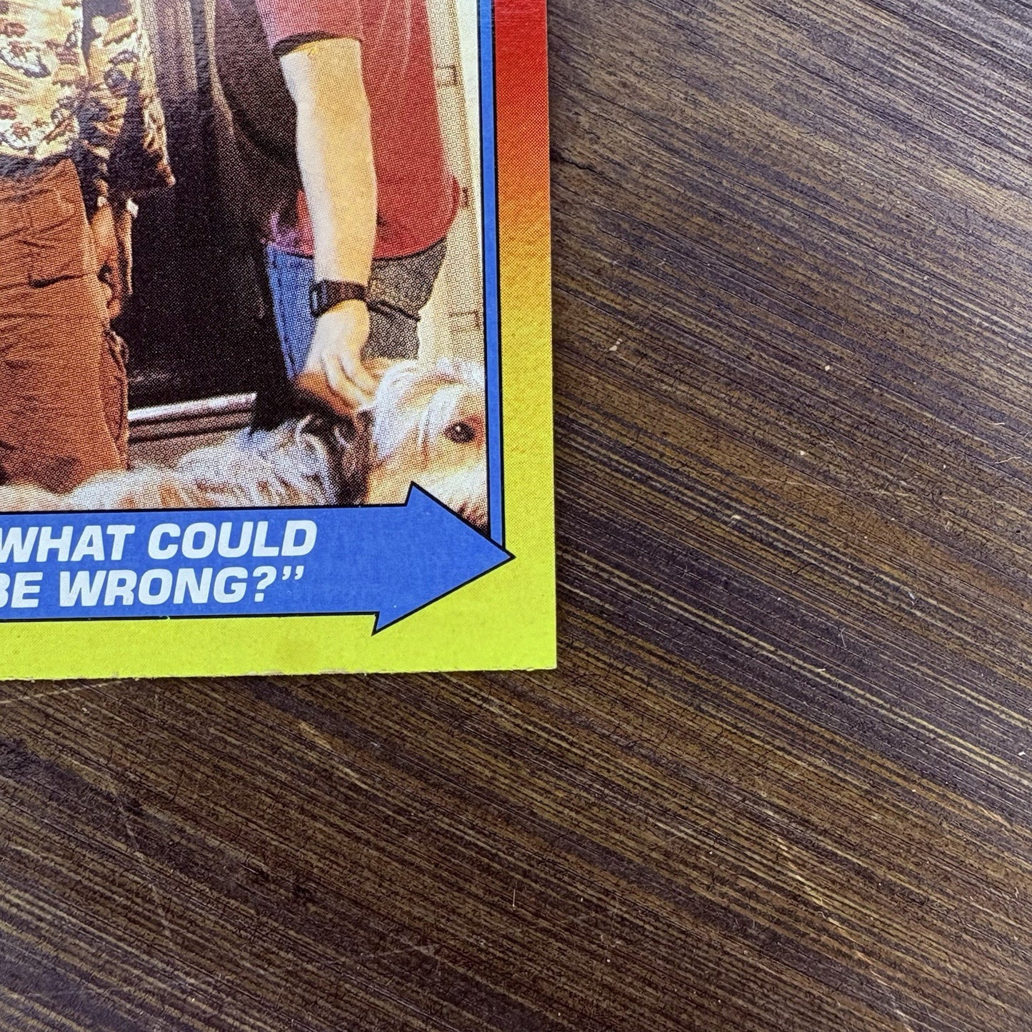 1989 Back To The Future #43 Topps Trading Card "What Could Be Wrong?"3
