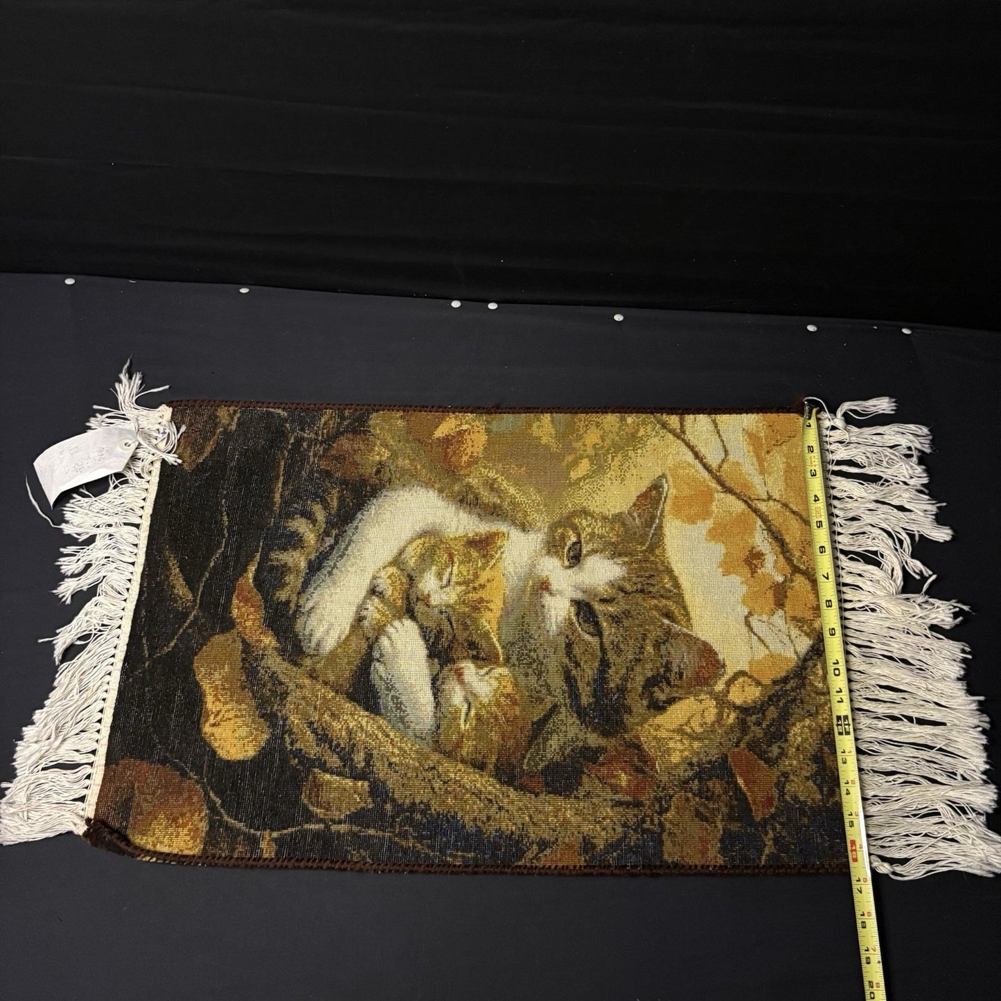 Pictorial Rug Kittens Hand Knotted w/Silk 289KPSI 25”x17” w/Rug Hangers13