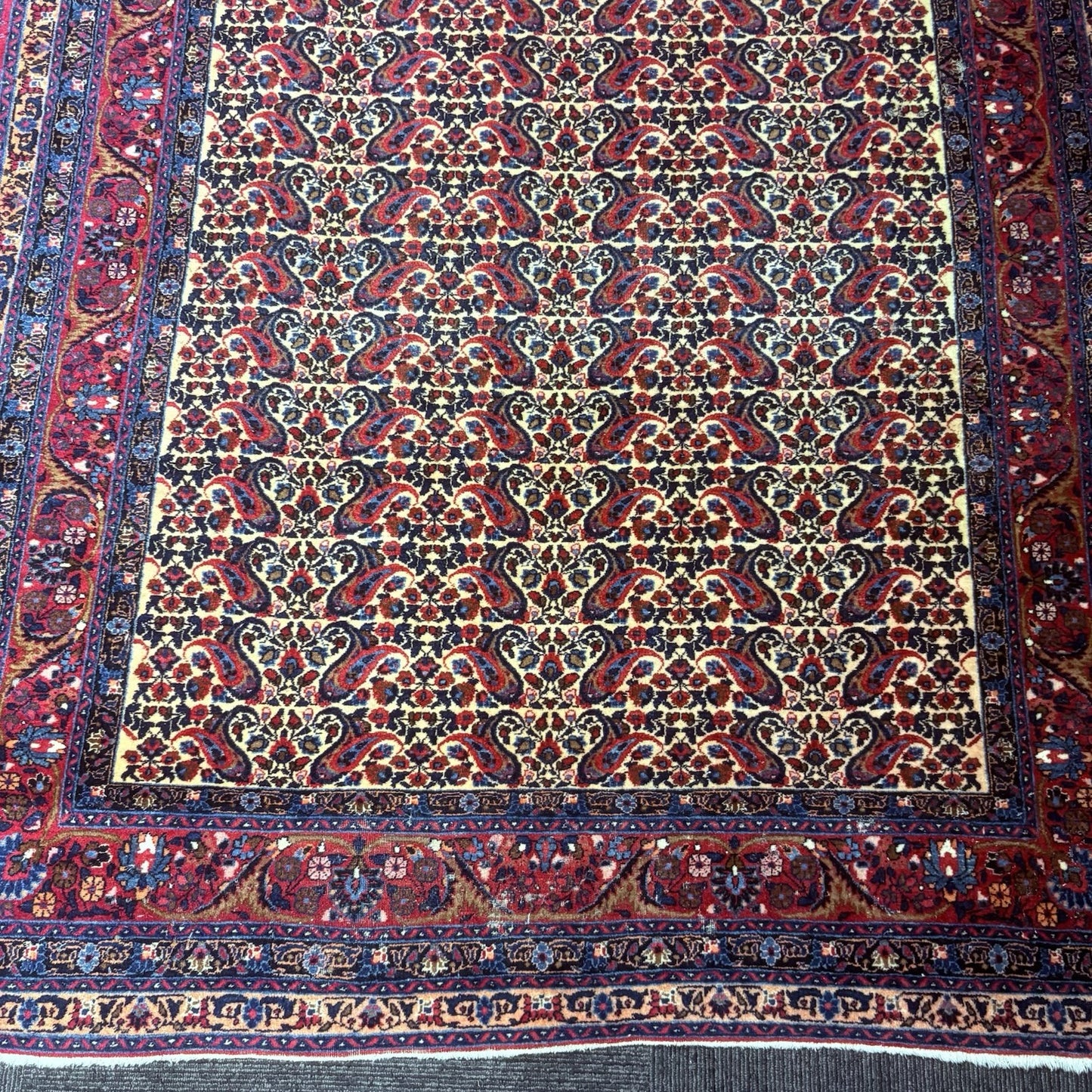 Antique 1910s Bidjar Hand Knotted Paisley Boteh Rug 5x7  342KPSI Natural Dye10