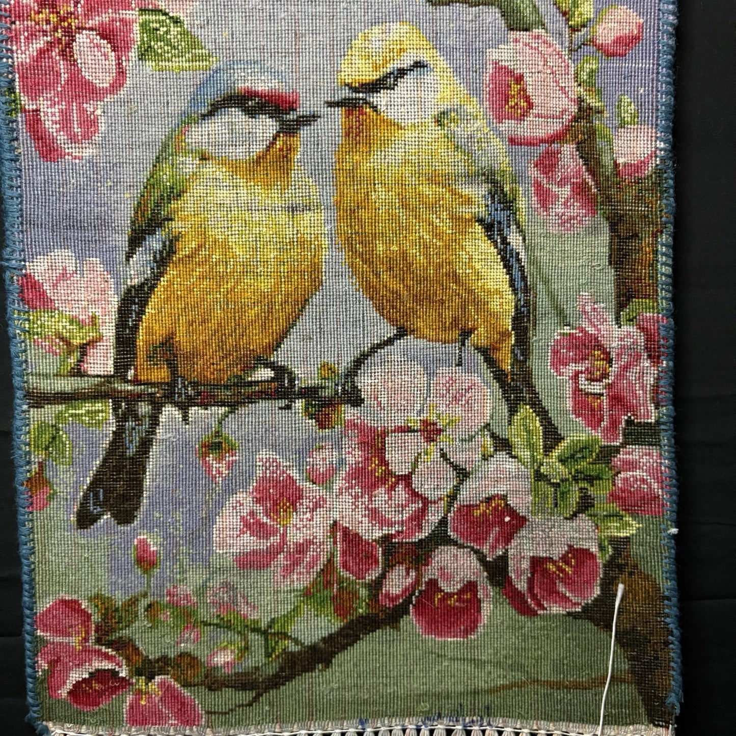 Per’sian Pictorial Rug Hand Knotted Birds & Flowers w/Silk 21”x15” w/Rug Hangers17