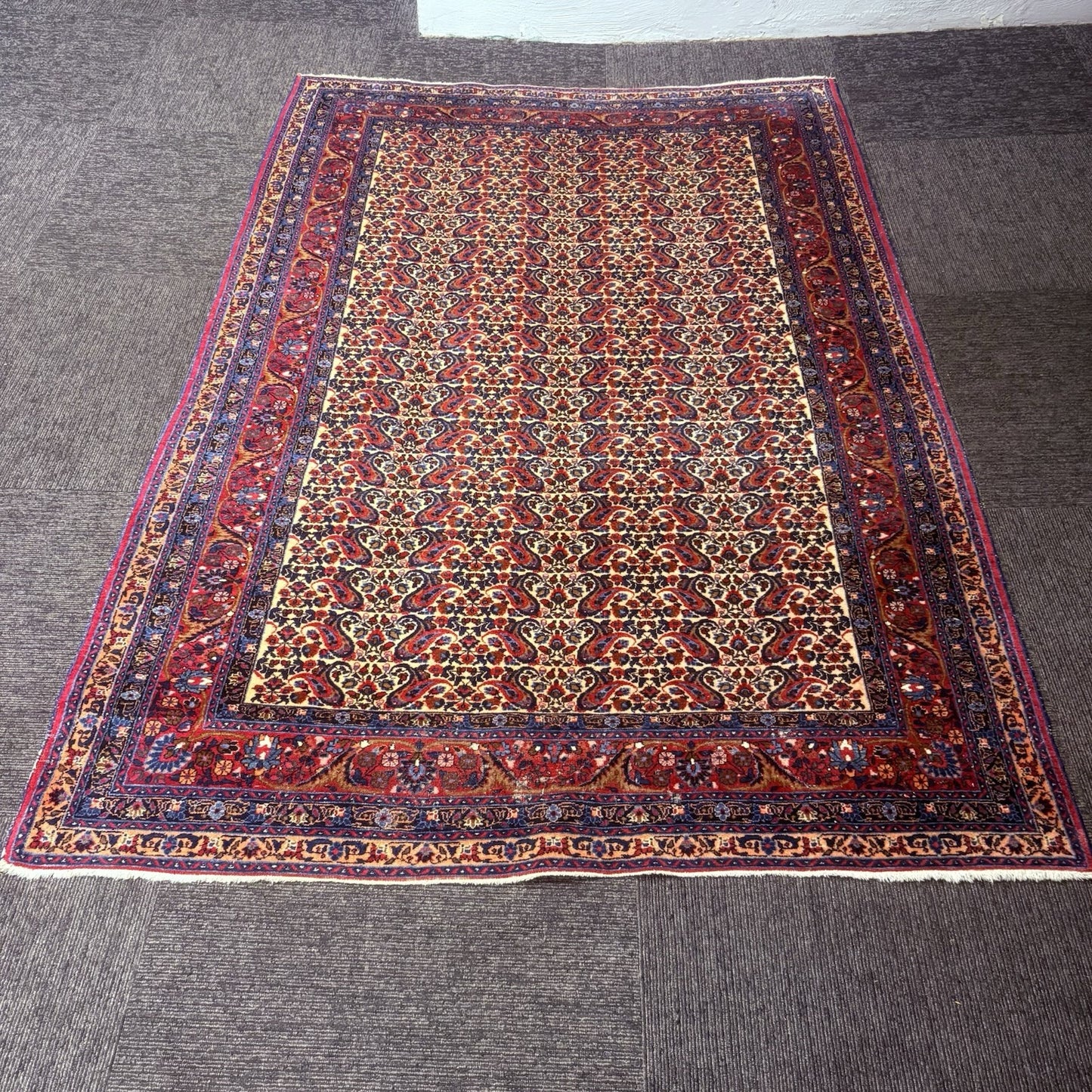 Antique 1910s Bidjar Hand Knotted Paisley Boteh Rug 5x7  342KPSI Natural Dye2