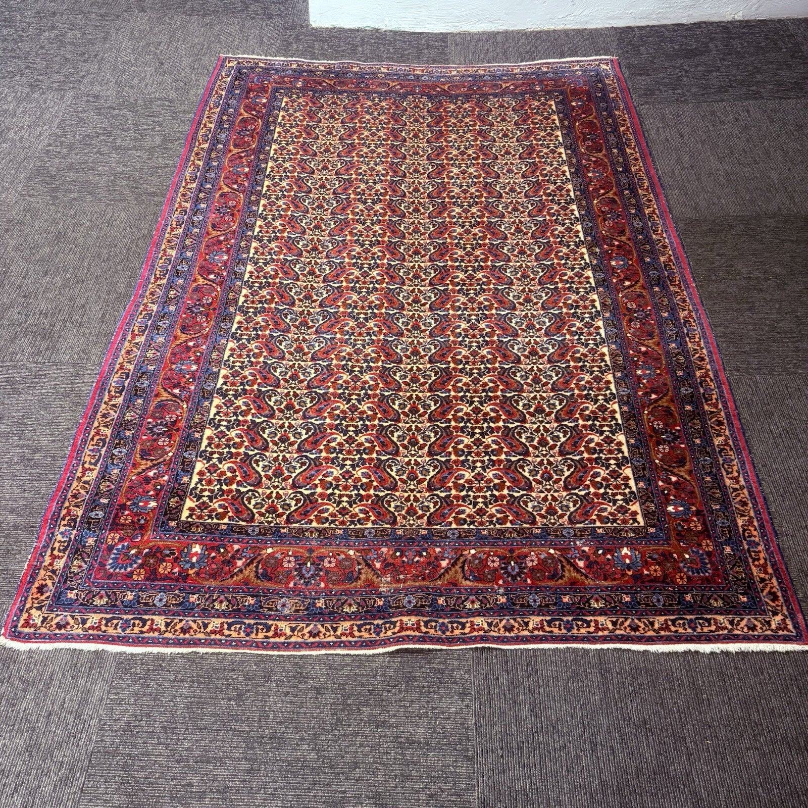 Antique 1910s Bidjar Hand Knotted Paisley Boteh Rug 5x7  342KPSI Natural Dye2