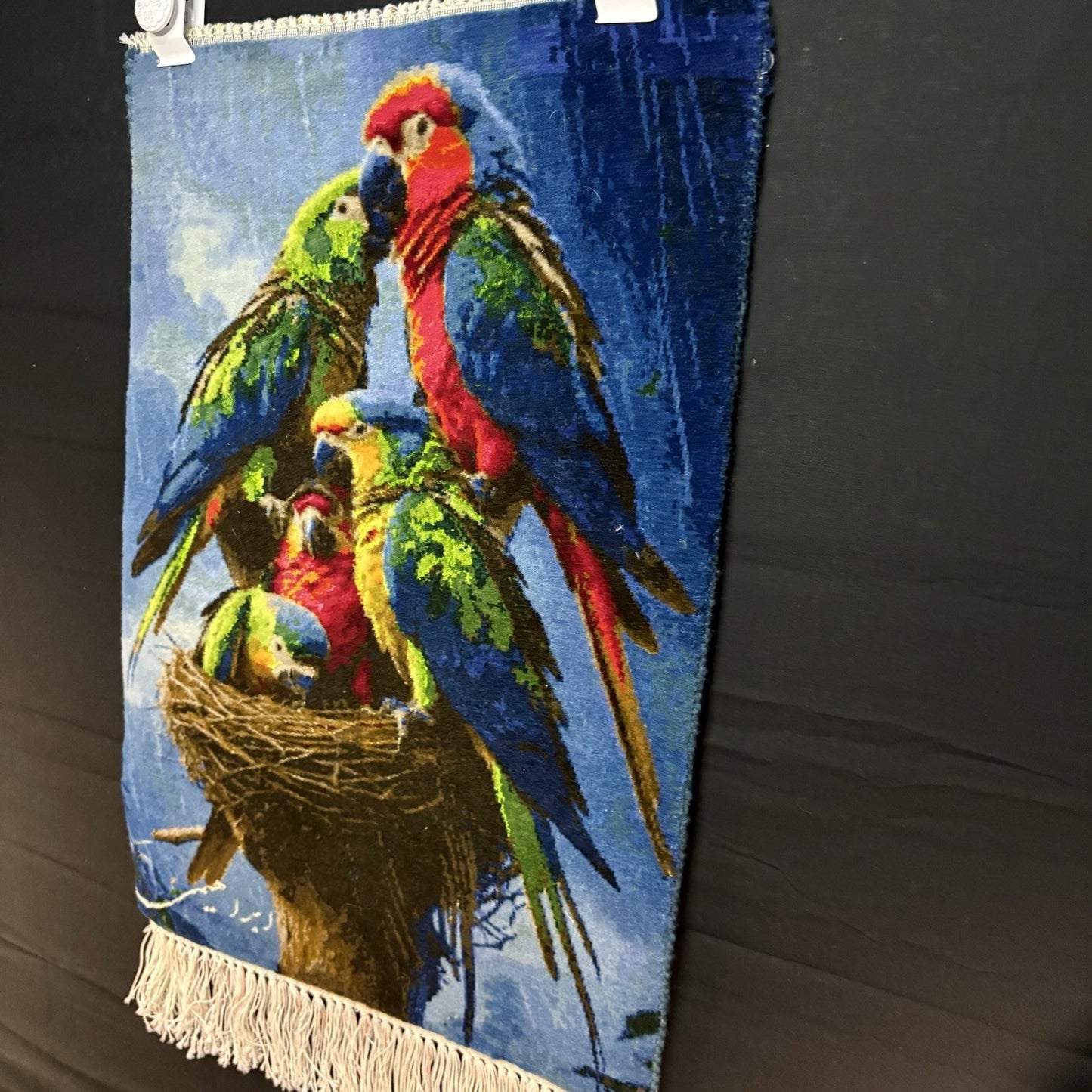 Persian Pictorial Rug Bird Hand Knotted 24”x16” 60X40cm 304KPSI w/Rug Hangers5