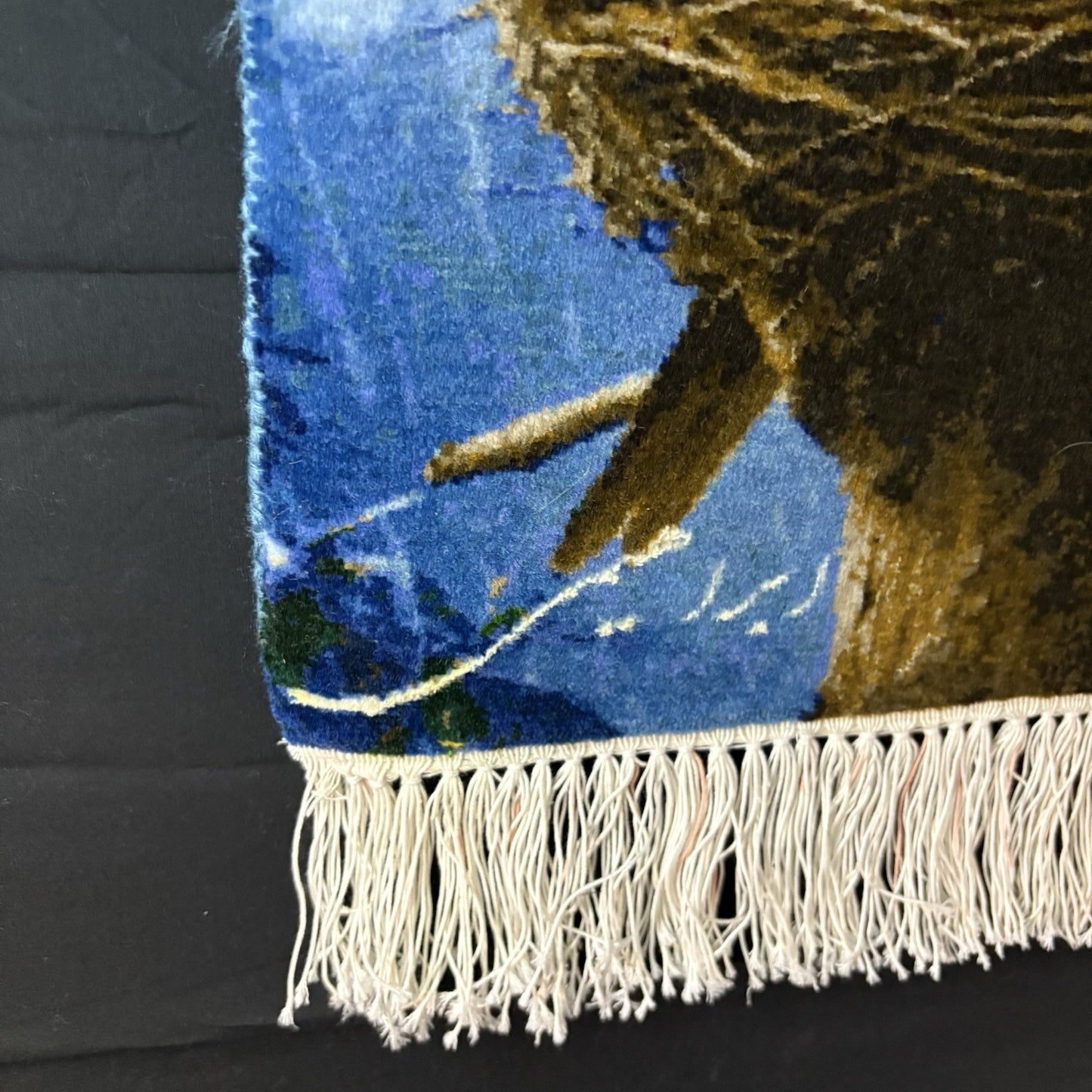 Pictorial Rug Bird Hand Knotted 24”x16” 60X40cm 304KPSI w/Rug Hangers13