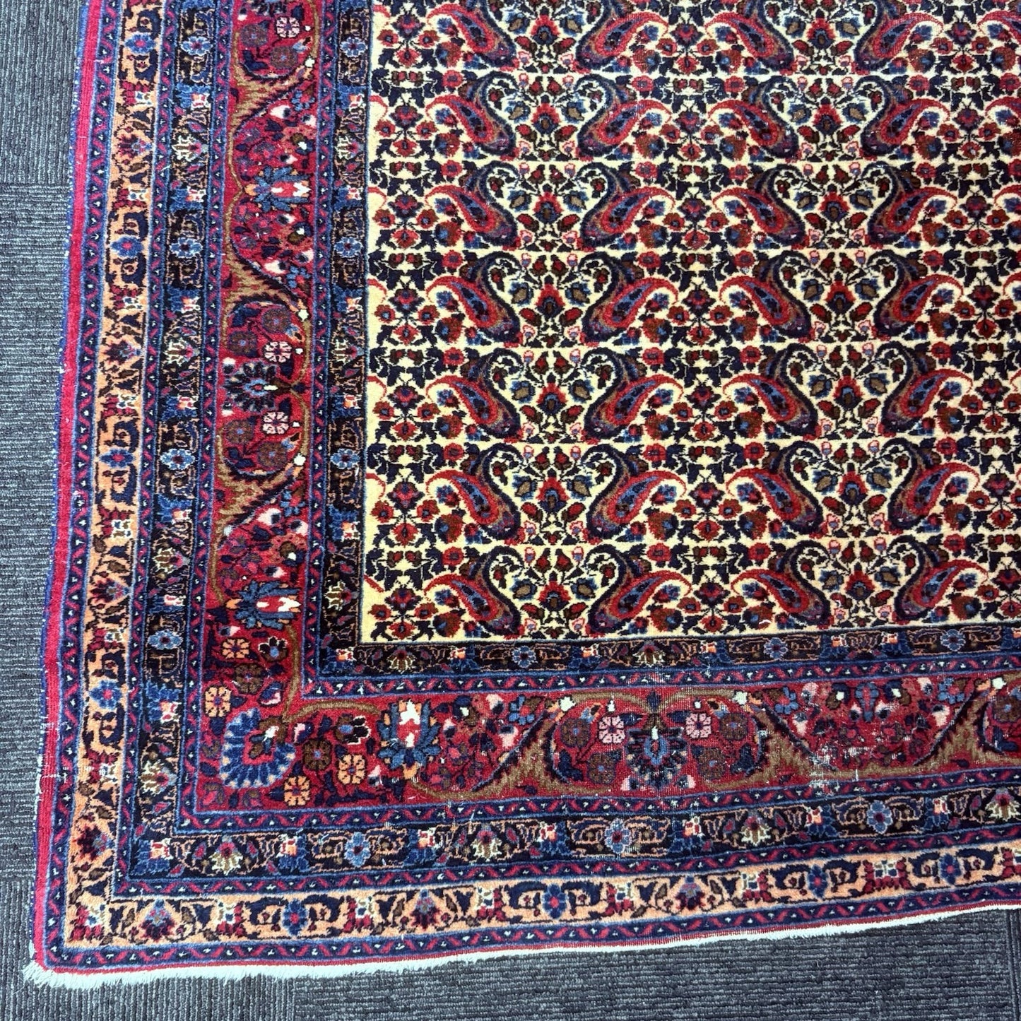 Antique 1910s Bidjar Hand Knotted Paisley Boteh Rug 5x7  342KPSI Natural Dye9