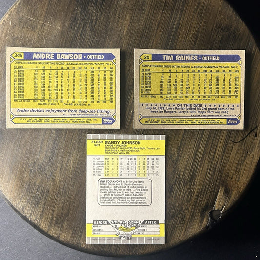 1989 Fleer Randy Johnson #381 Rookie Card & #345 Andre Dawson, #30 Tim Raines1