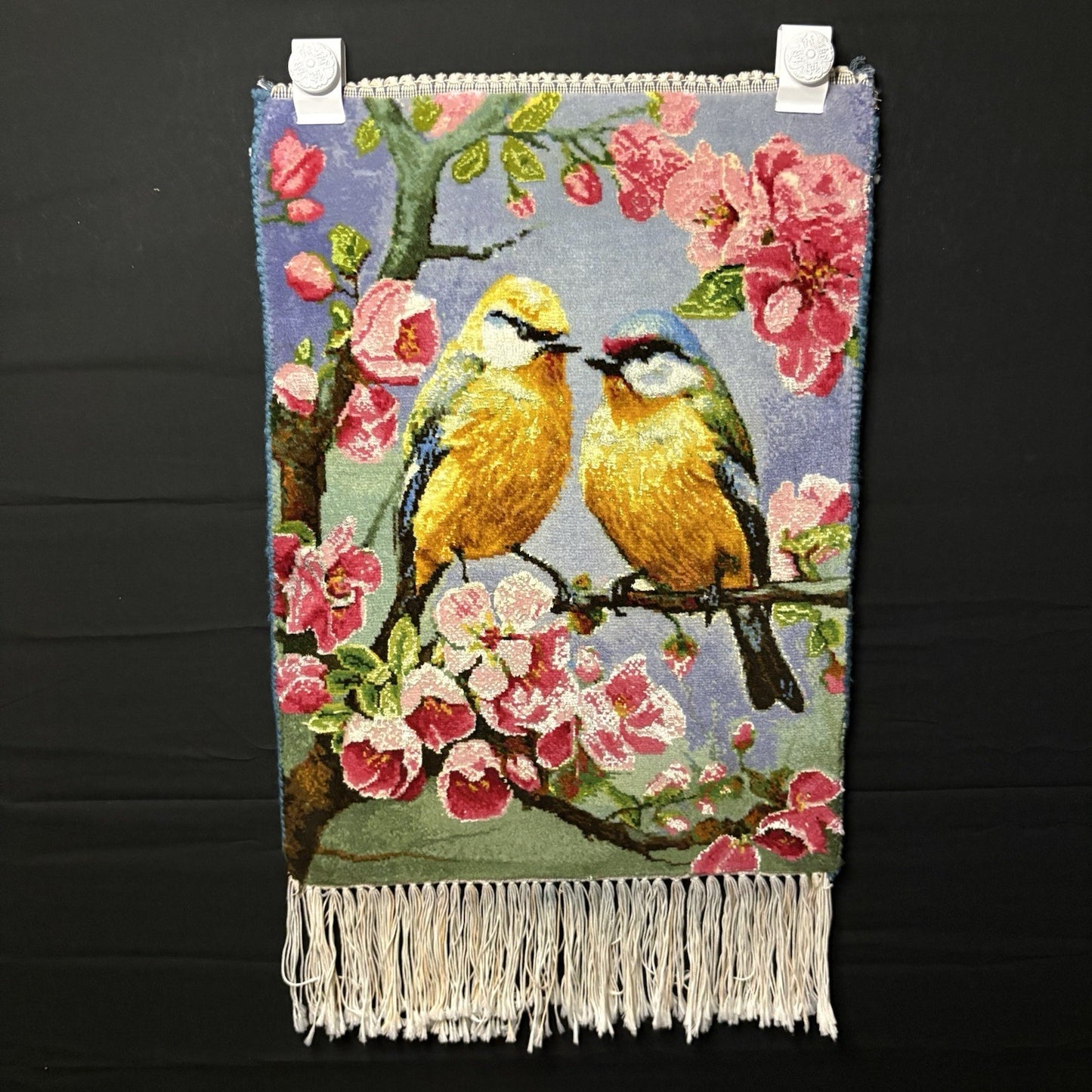 Per’sian Pictorial Rug Hand Knotted Birds & Flowers w/Silk 21”x15” w/Rug Hangers0