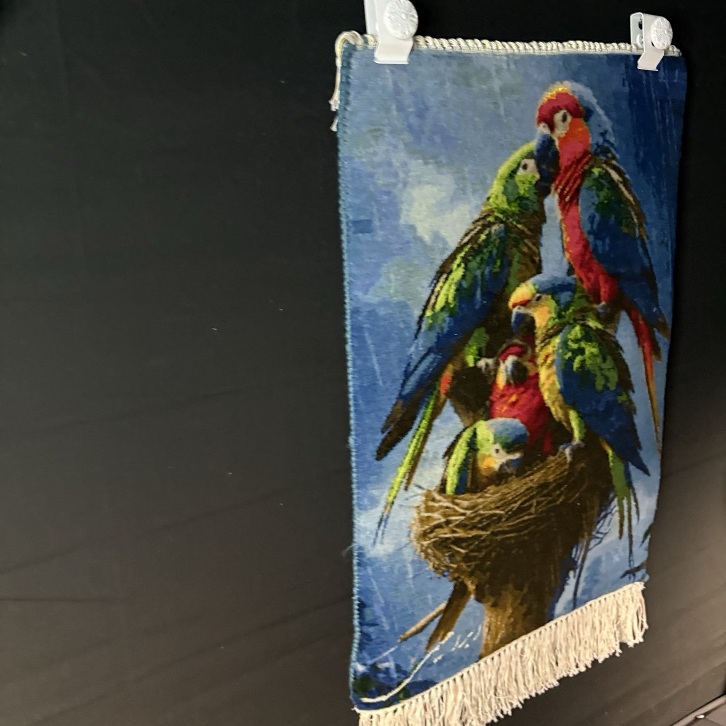 Persian Pictorial Rug Bird Hand Knotted 24”x16” 60X40cm 304KPSI w/Rug Hangers4