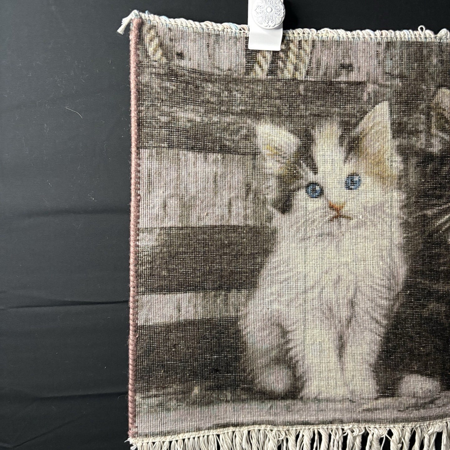 Pictorial Rug 3-D Kittens Tabrizz Hand Knotted 24”x16” w/Rug Hangers16