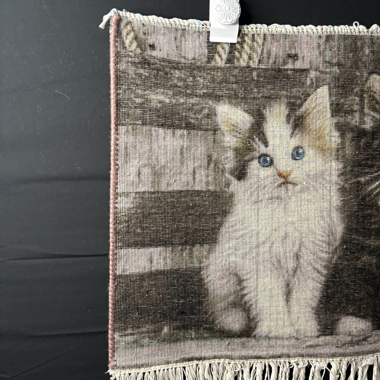 Pictorial Rug 3-D Kittens Tabrizz Hand Knotted 24”x16” w/Rug Hangers16