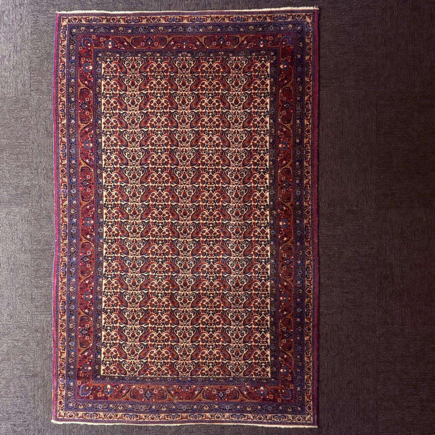 Antique 1910s Bidjar Hand Knotted Paisley Boteh Rug 5x7  342KPSI Natural Dye1