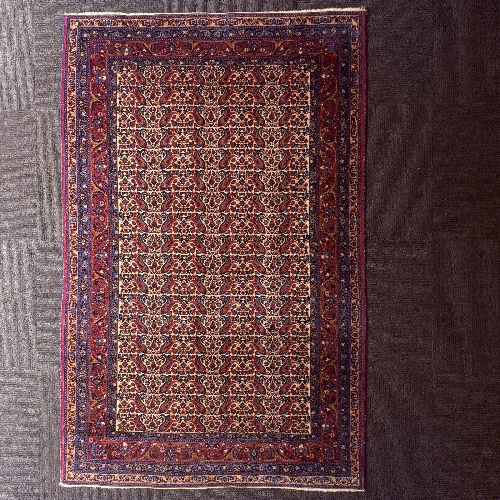 Antique 1910s Bidjar Hand Knotted Paisley Boteh Rug 5x7  342KPSI Natural Dye1