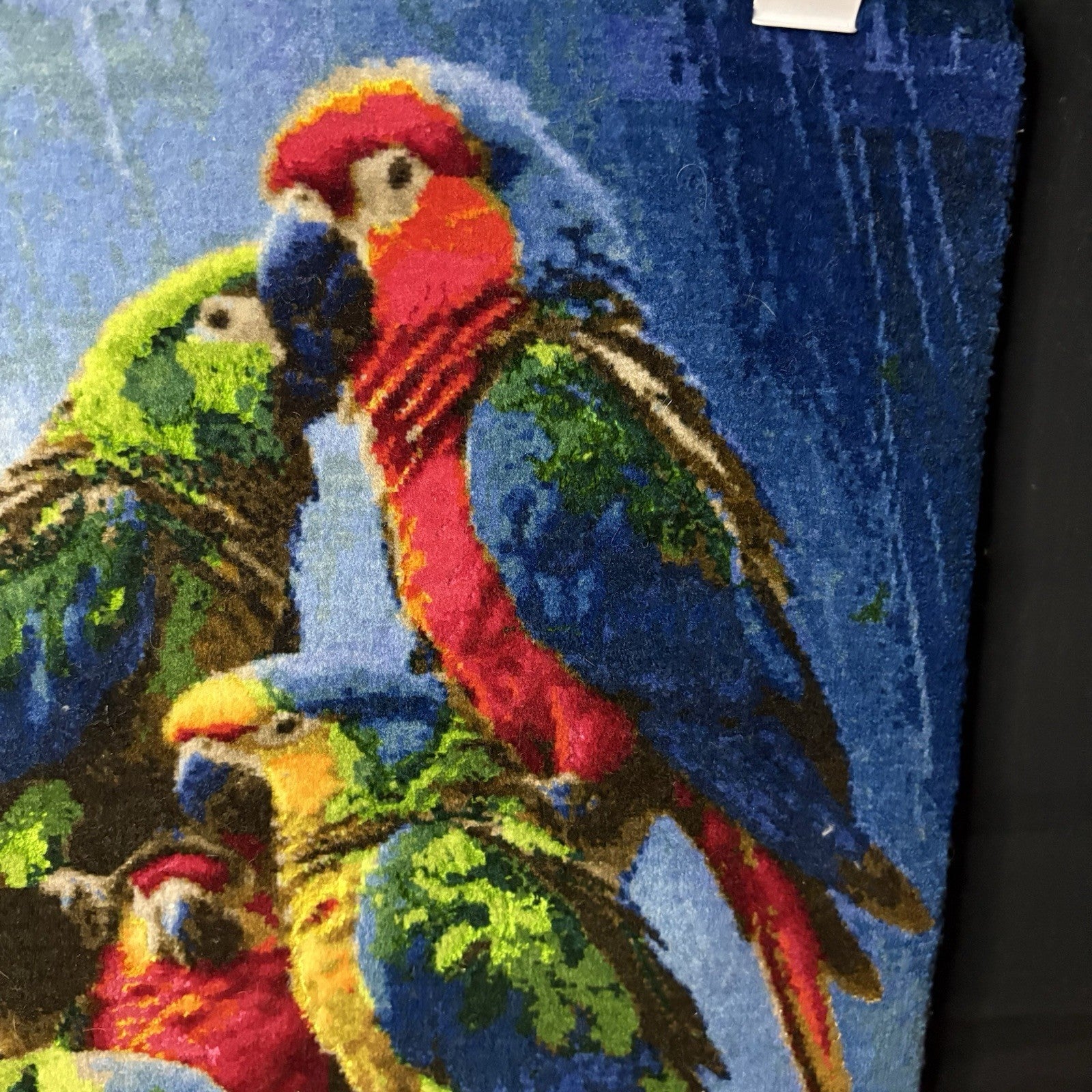 Pictorial Rug Bird Hand Knotted 24”x16” 60X40cm 304KPSI w/Rug Hangers10