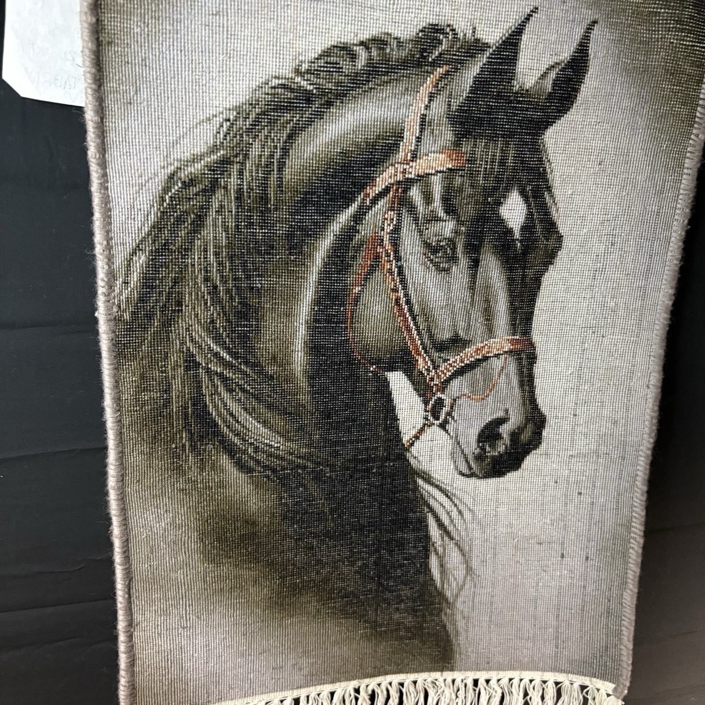 Pictorial Rug Hand Knotted Horse 22”x16” 55X40cm w/Rug Hangers22