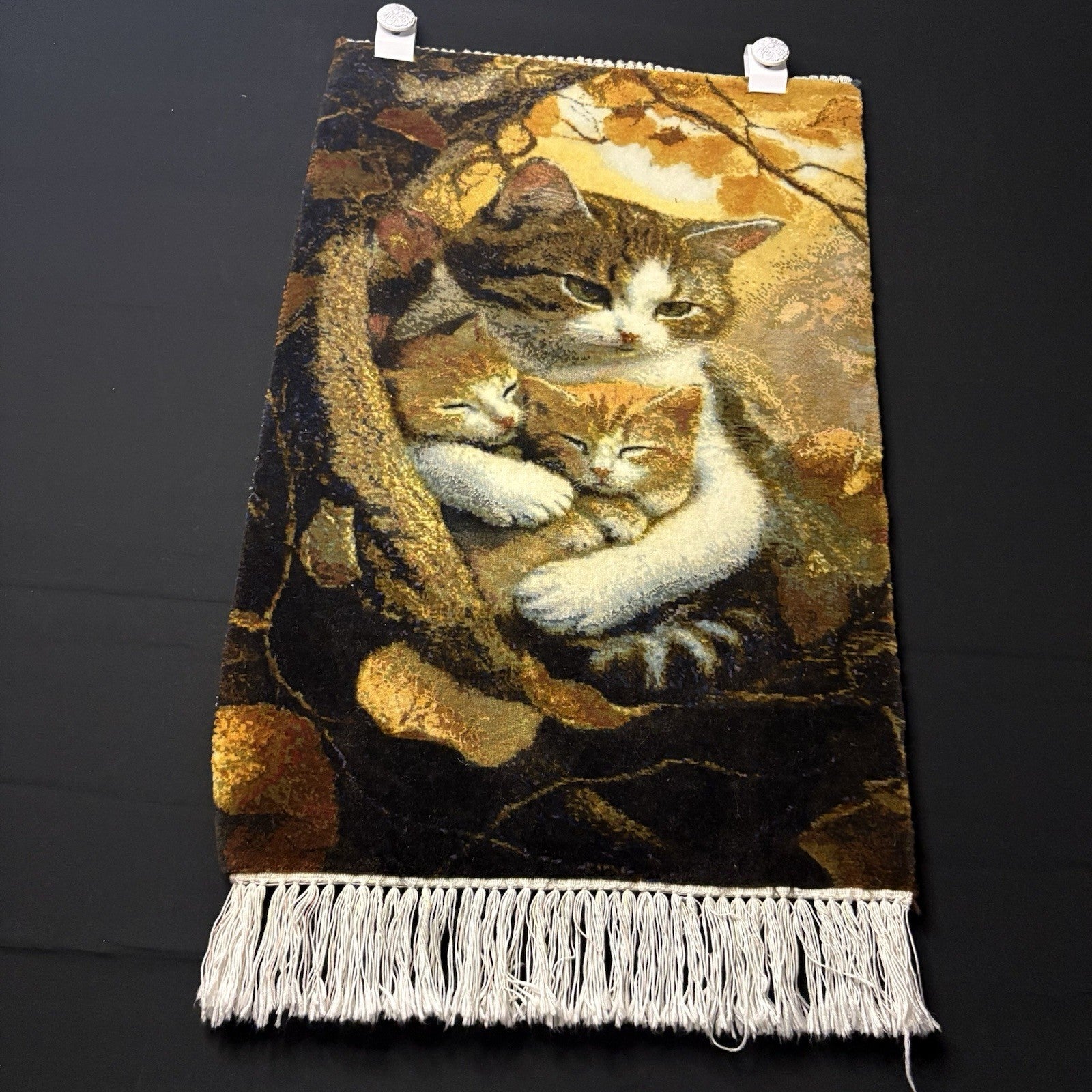 Pictorial Rug Kittens Hand Knotted w/Silk 289KPSI 25”x17” w/Rug Hangers2