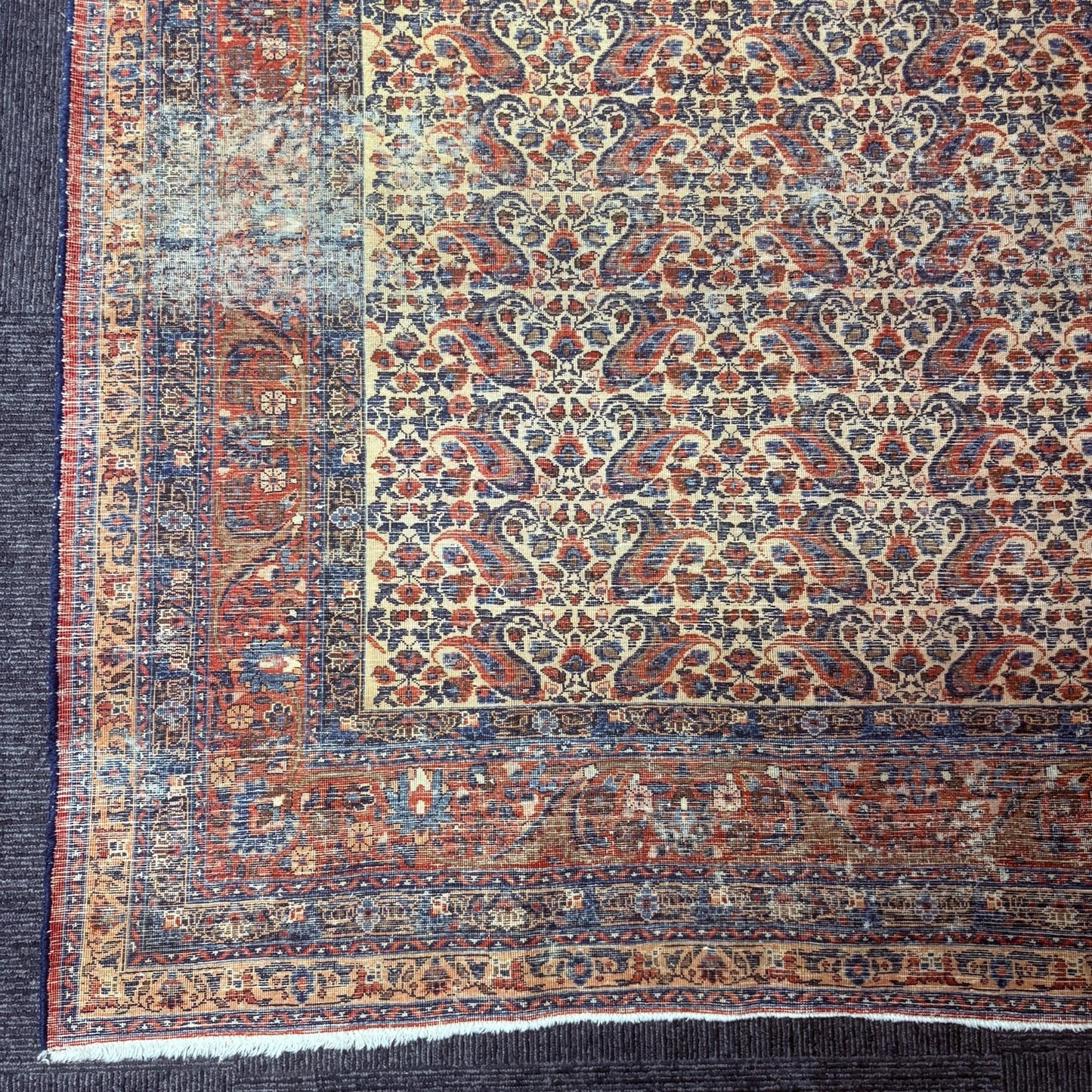 Antique 1910s Bidjar Hand Knotted Paisley Boteh Rug 5x7  342KPSI Natural Dye20