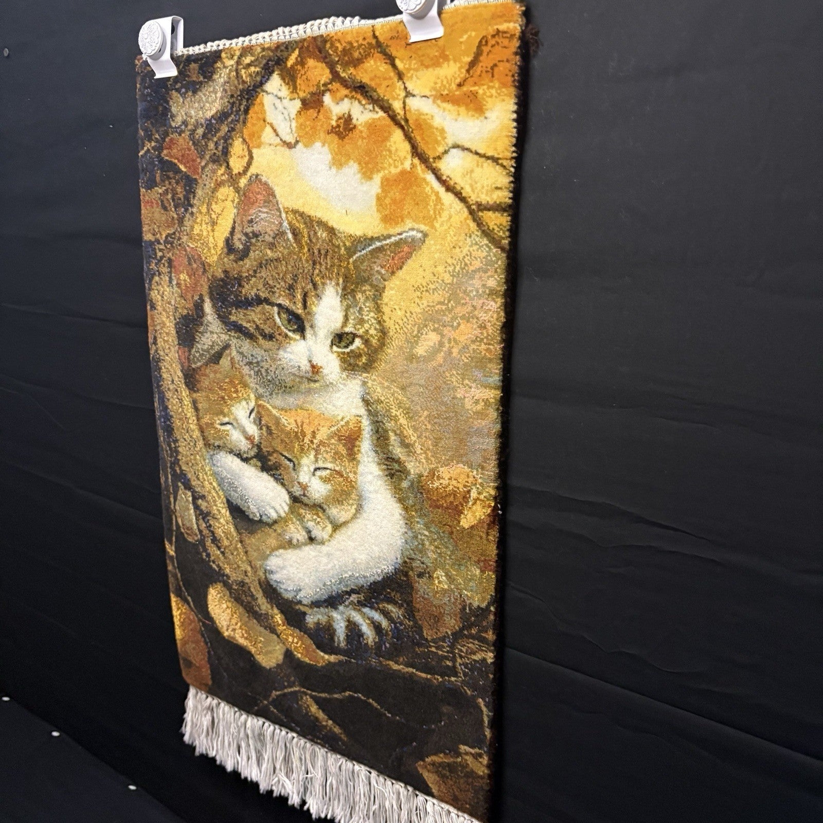 Pictorial Rug Kittens Hand Knotted w/Silk 289KPSI 25”x17” w/Rug Hangers5