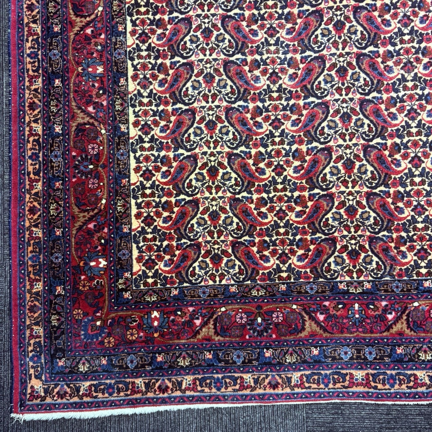 Antique 1910s Bidjar Hand Knotted Paisley Boteh Rug 5x7  342KPSI Natural Dye7