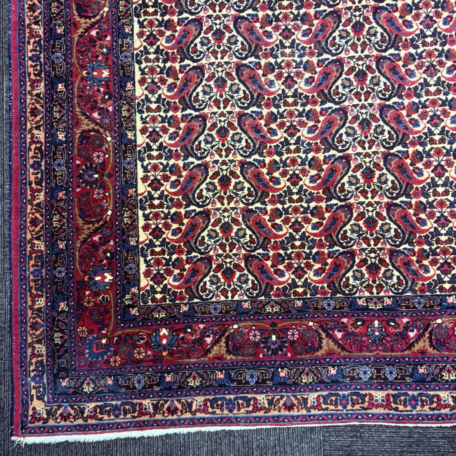Antique 1910s Bidjar Hand Knotted Paisley Boteh Rug 5x7  342KPSI Natural Dye7